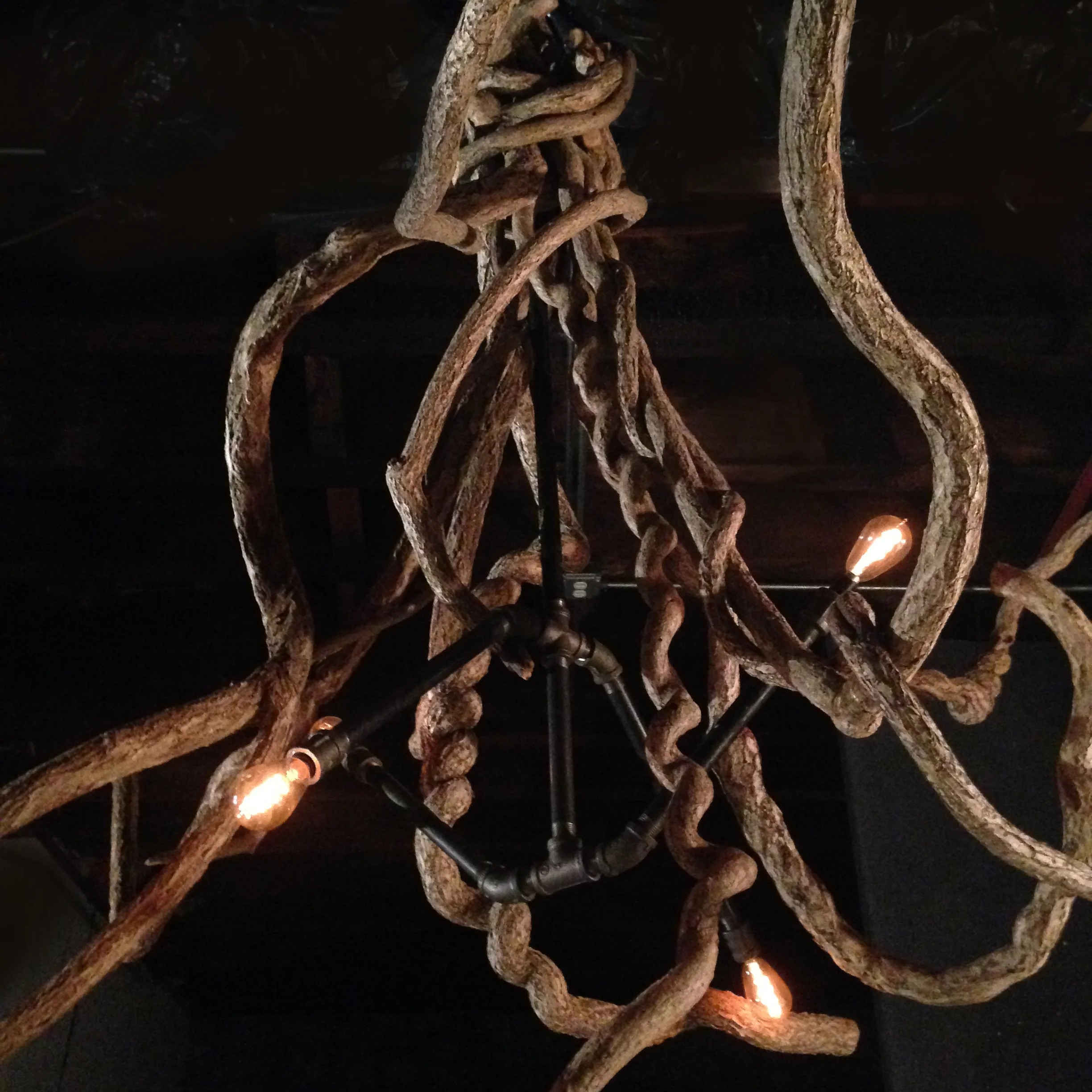 vine_chandelier_close.jpg