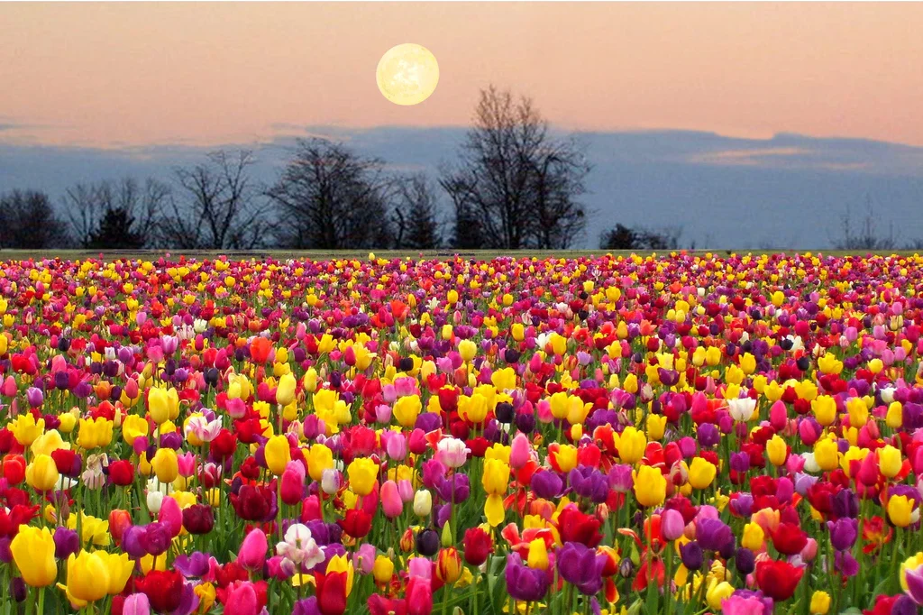 May-Full-MOon.jpg