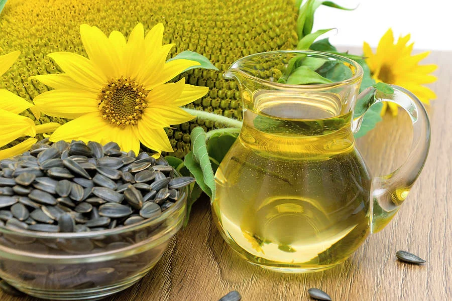 Sunflower-Oil-And-Sunflower-Fl-48427451_3.jpg