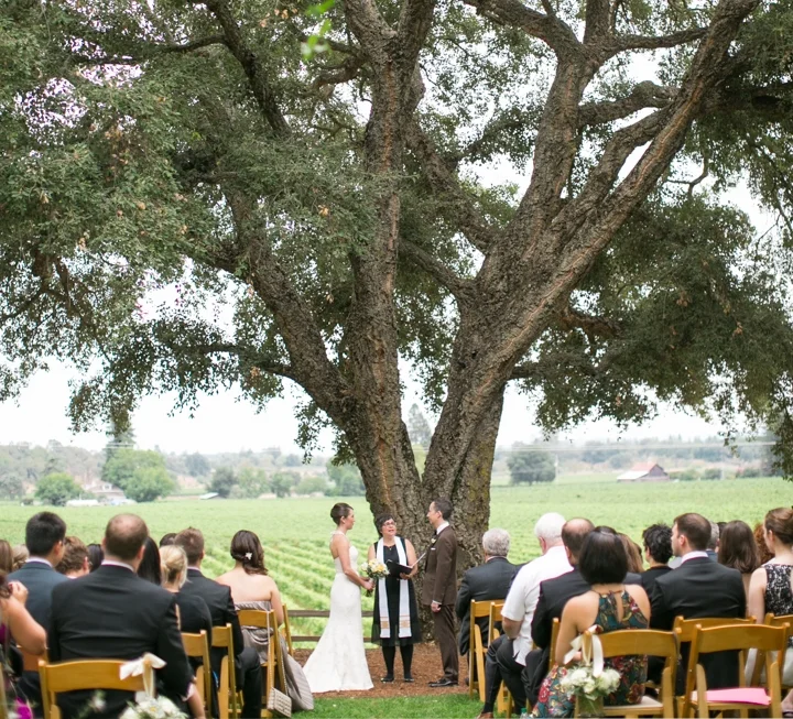 dreamalittledreamevents.com | Healdsburg Country Gardens Weddings | Dream A Little Dream Events | Northern California Winery Wedding Planning and Design