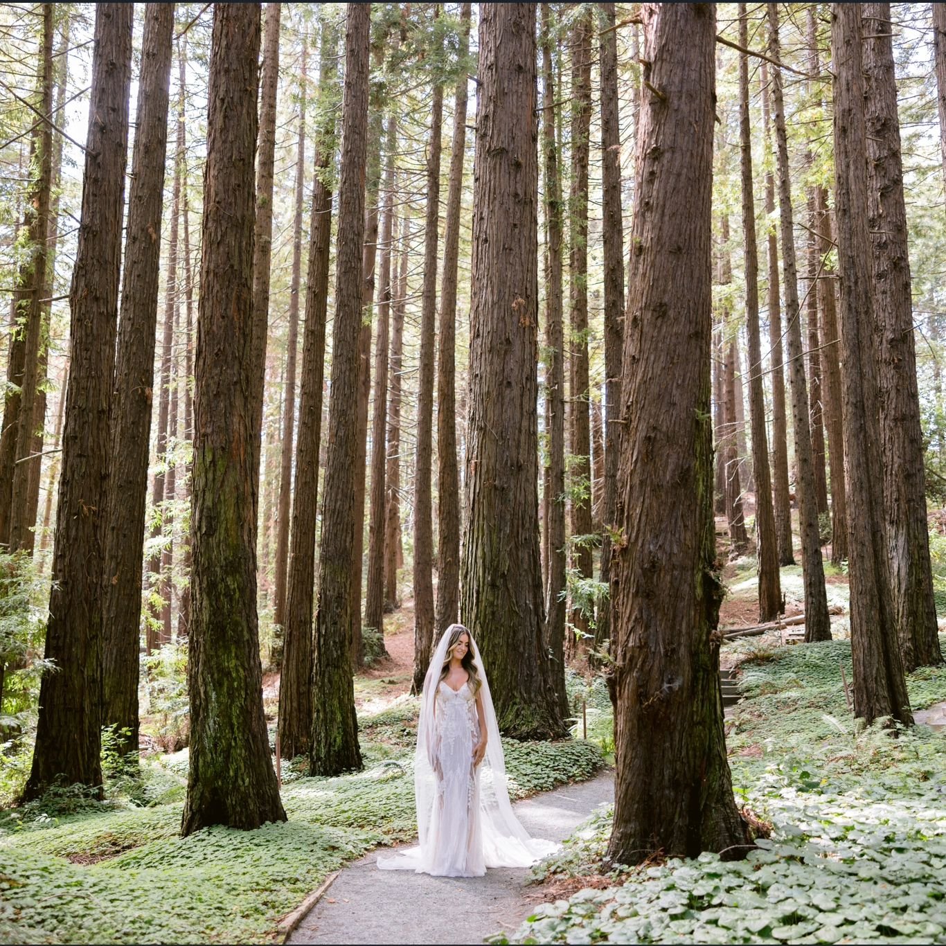 Beauty amongst the redwoods ✨️

📸 @larissaclevelandphoto

#bridalportrait 
#weddingportrait 
#redwoods 
#weddingceremony 
#redwoodforest 
#enchantedforestwedding 
#daldeventsweddings