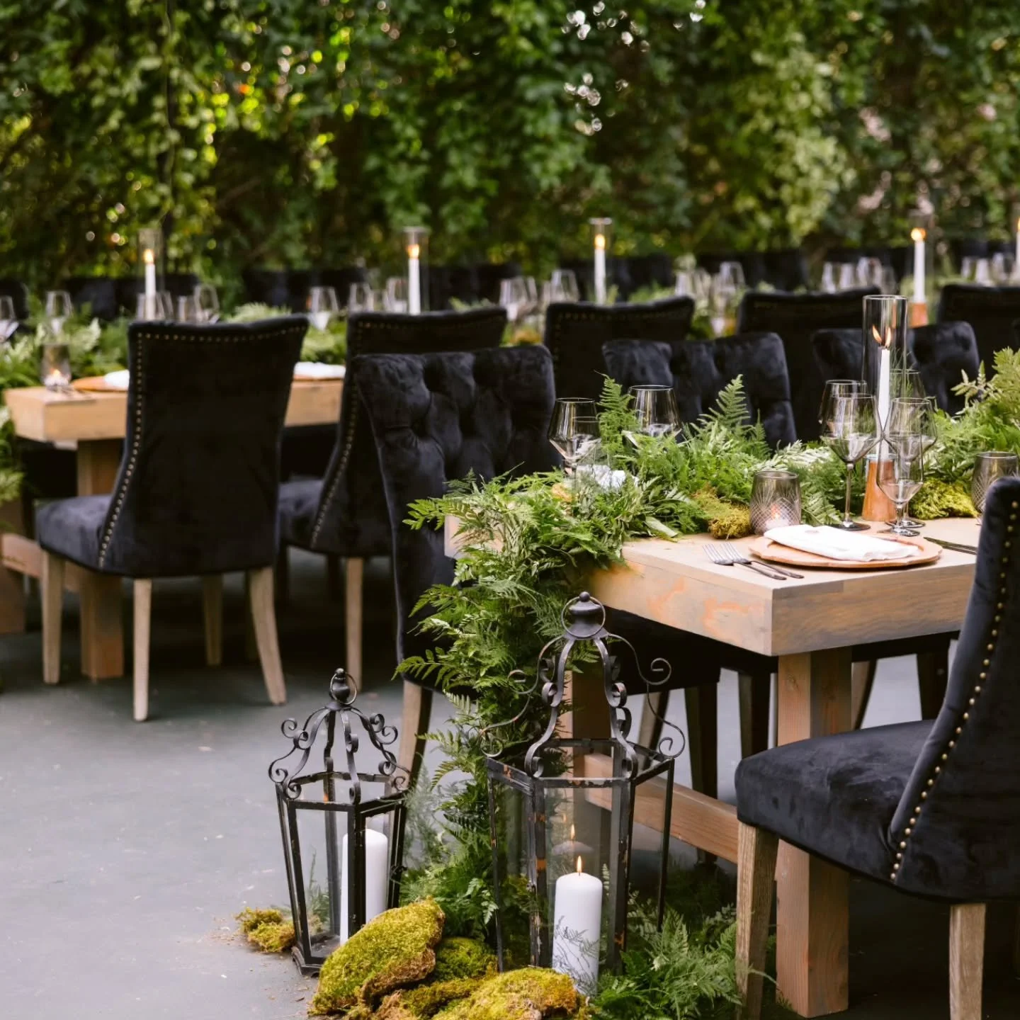 Happy 3 Years C+O!! The magic of this wedding is still as vibrant as that beautiful evening. 

Photography @larissaclevelandphoto 
Venue Private Estate
Floral @revelryeventdesign 
Structure + Rentals @hensleyeventresources 
Rentals @theonicollection 