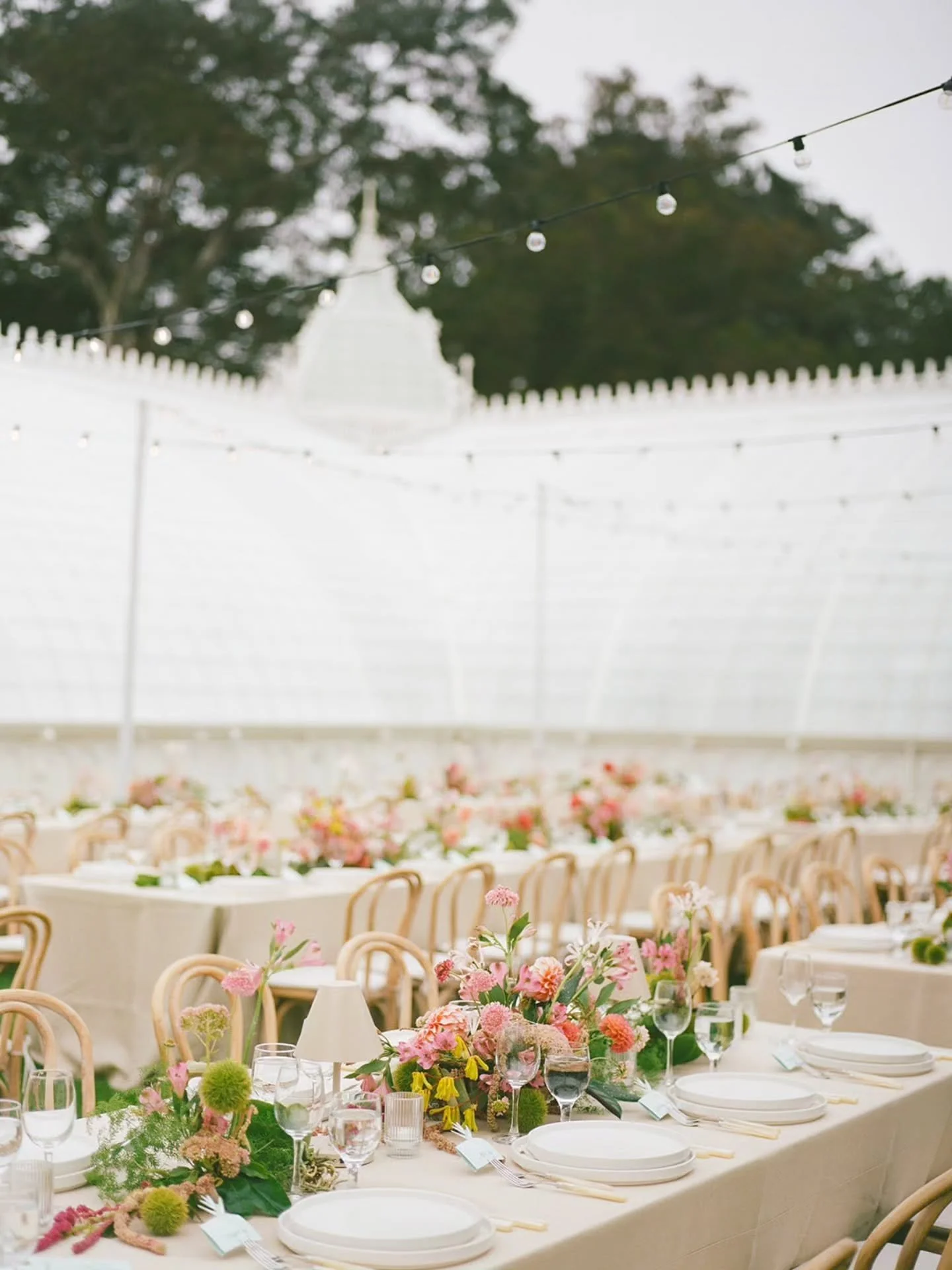 A stunner of a wedding at the beautiful Conservatory of Flowers in San Francisco's Golden Gate Park. After guests nibbled on lite appetizers and beverages and strolled through the Conservatory, they were treated to an al fresco dinner before entering