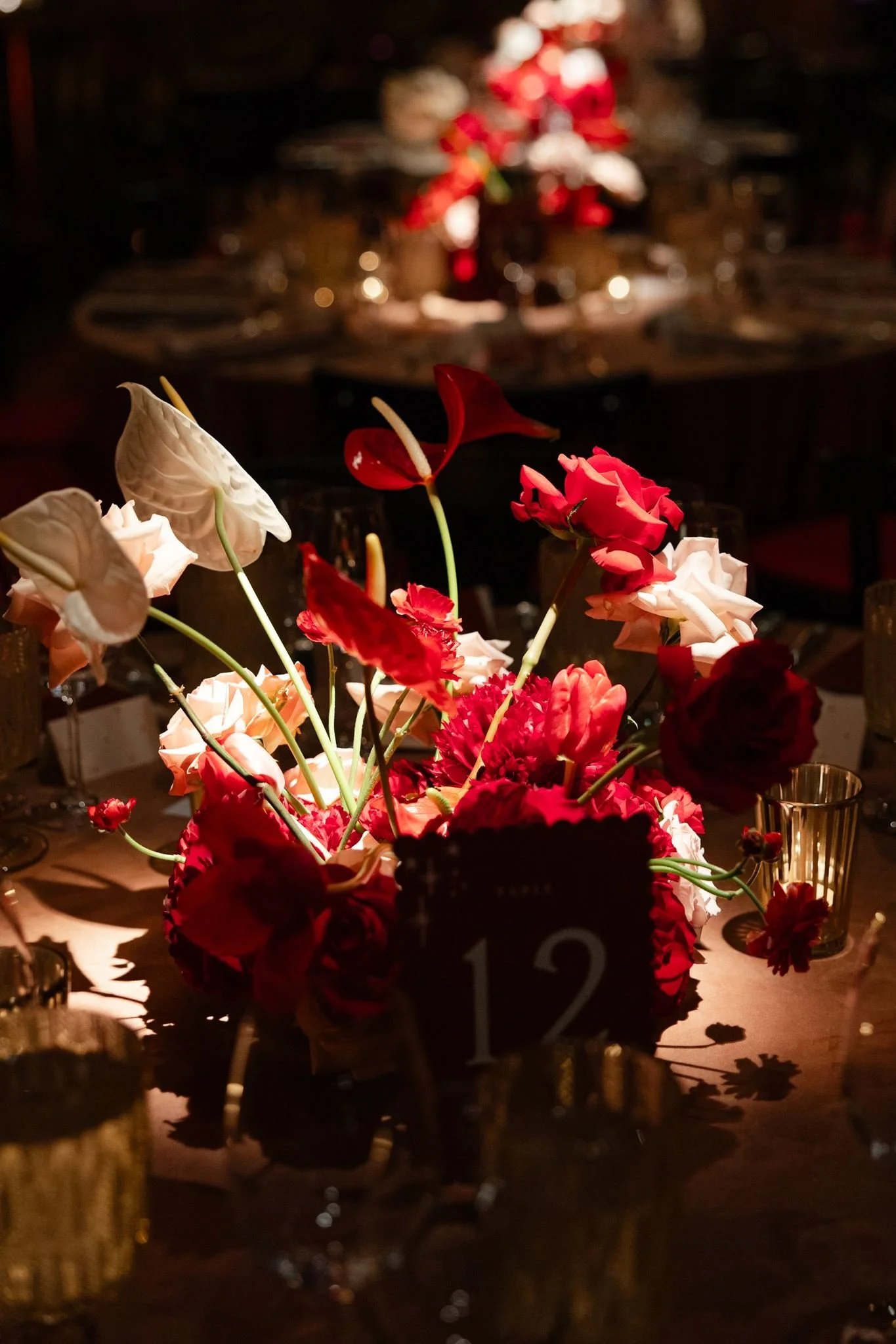 AllisonStoddard_StephAndrewReception-9_websize.jpg