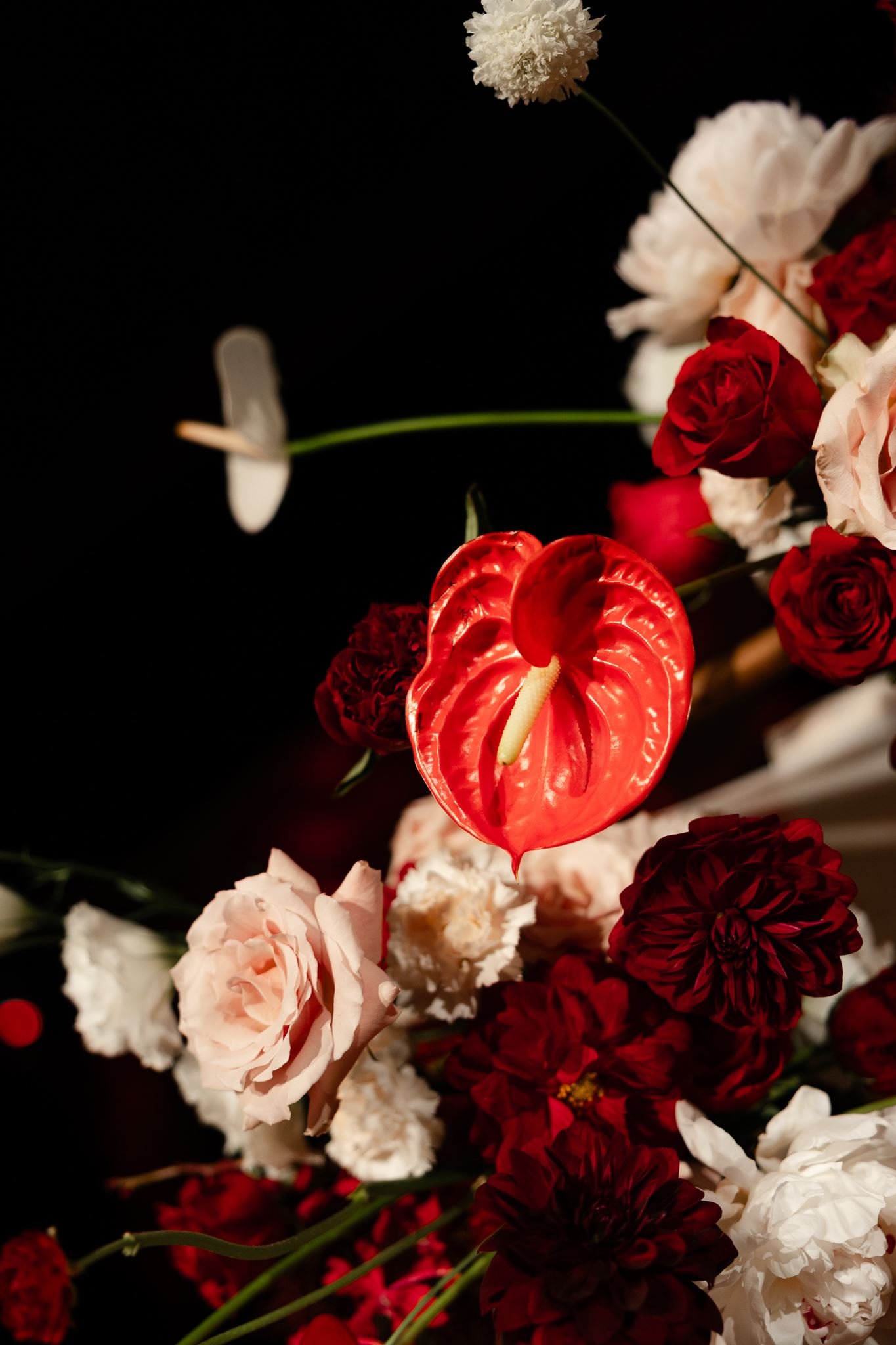 AllisonStoddard_StephAndrewWeddingPreviews-55_websize.jpg