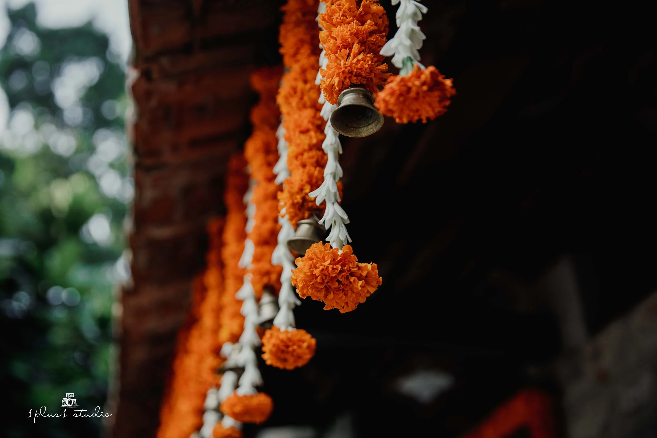 Indo Dutch-9.jpg