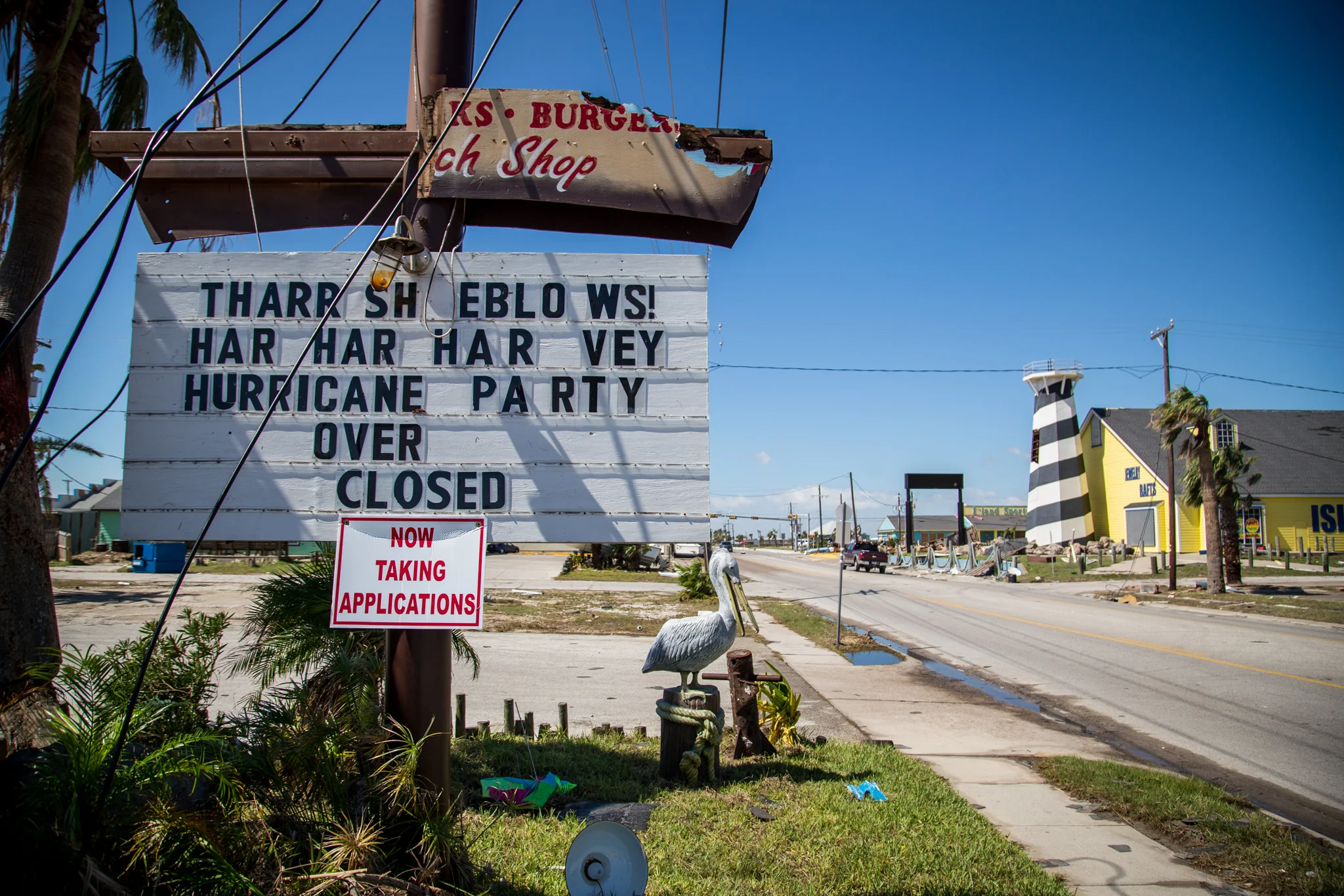 harvey-1-13.jpg