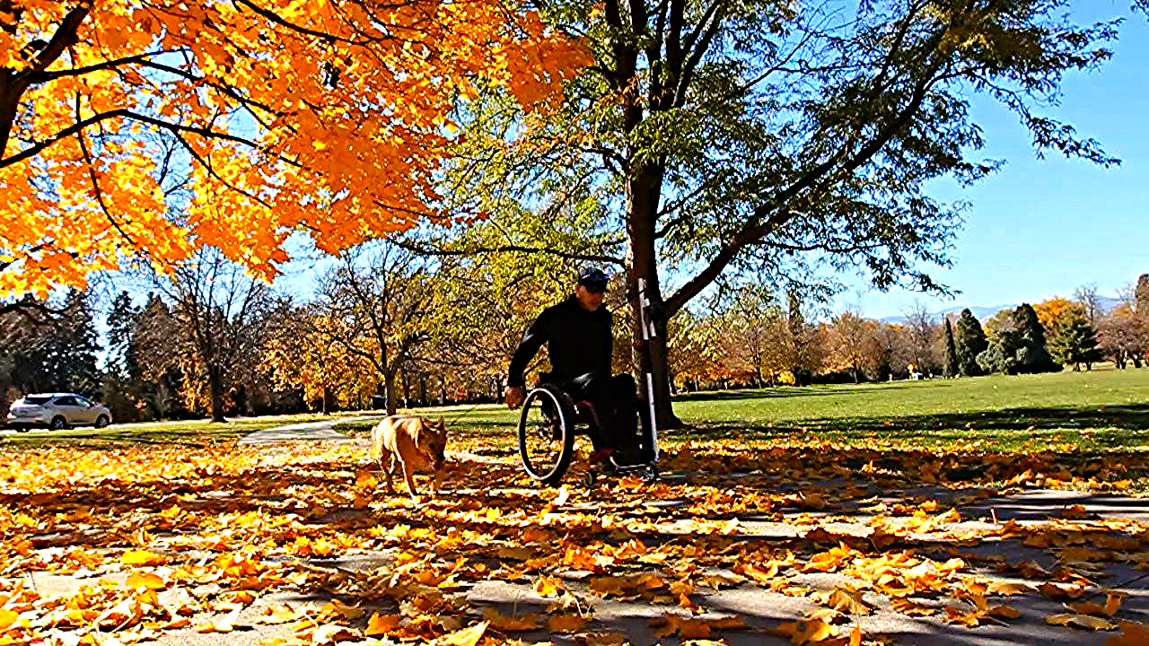 sciLeash Jon & Sam 2.jpg