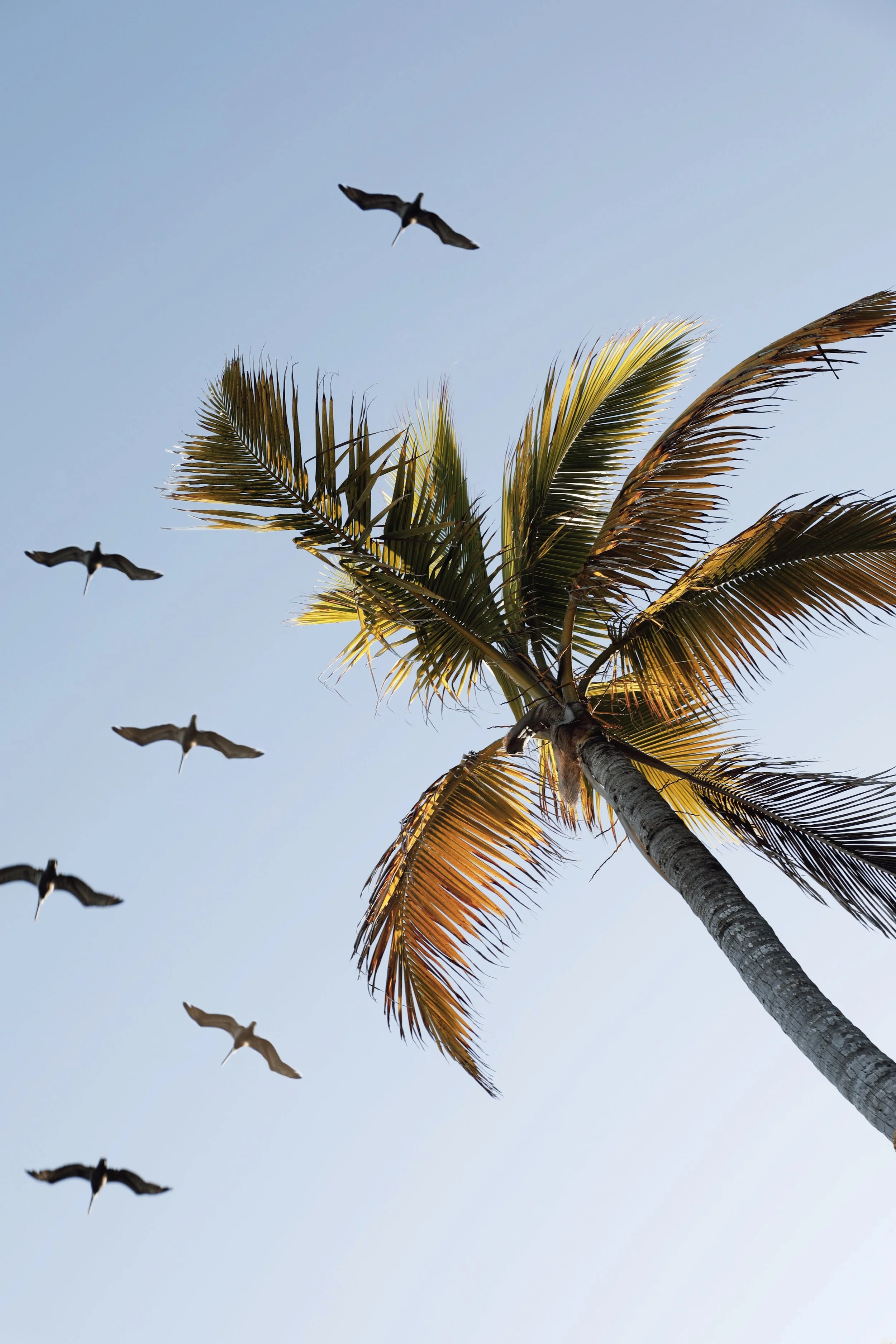 AfterlightImage 36.JPG