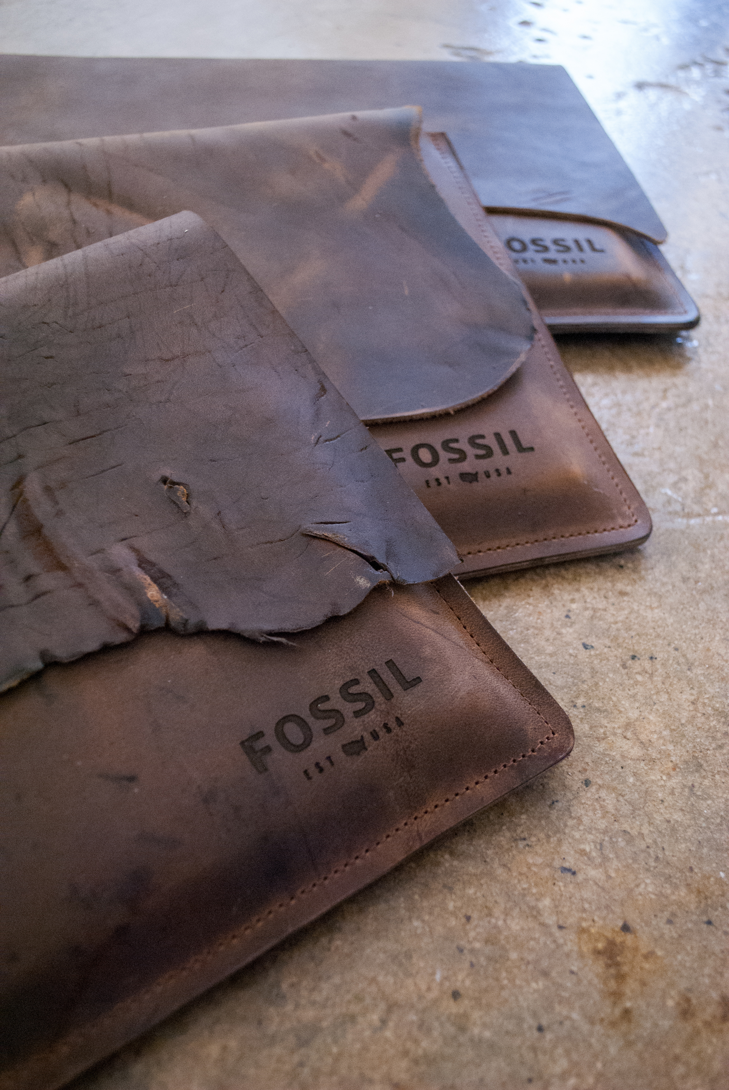Fossil-1.jpg