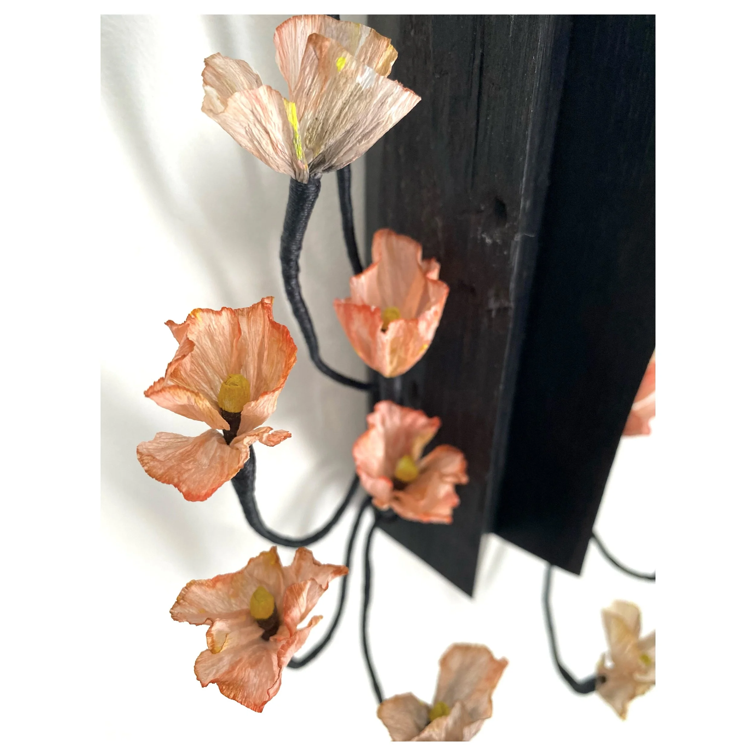 flowering3.jpg