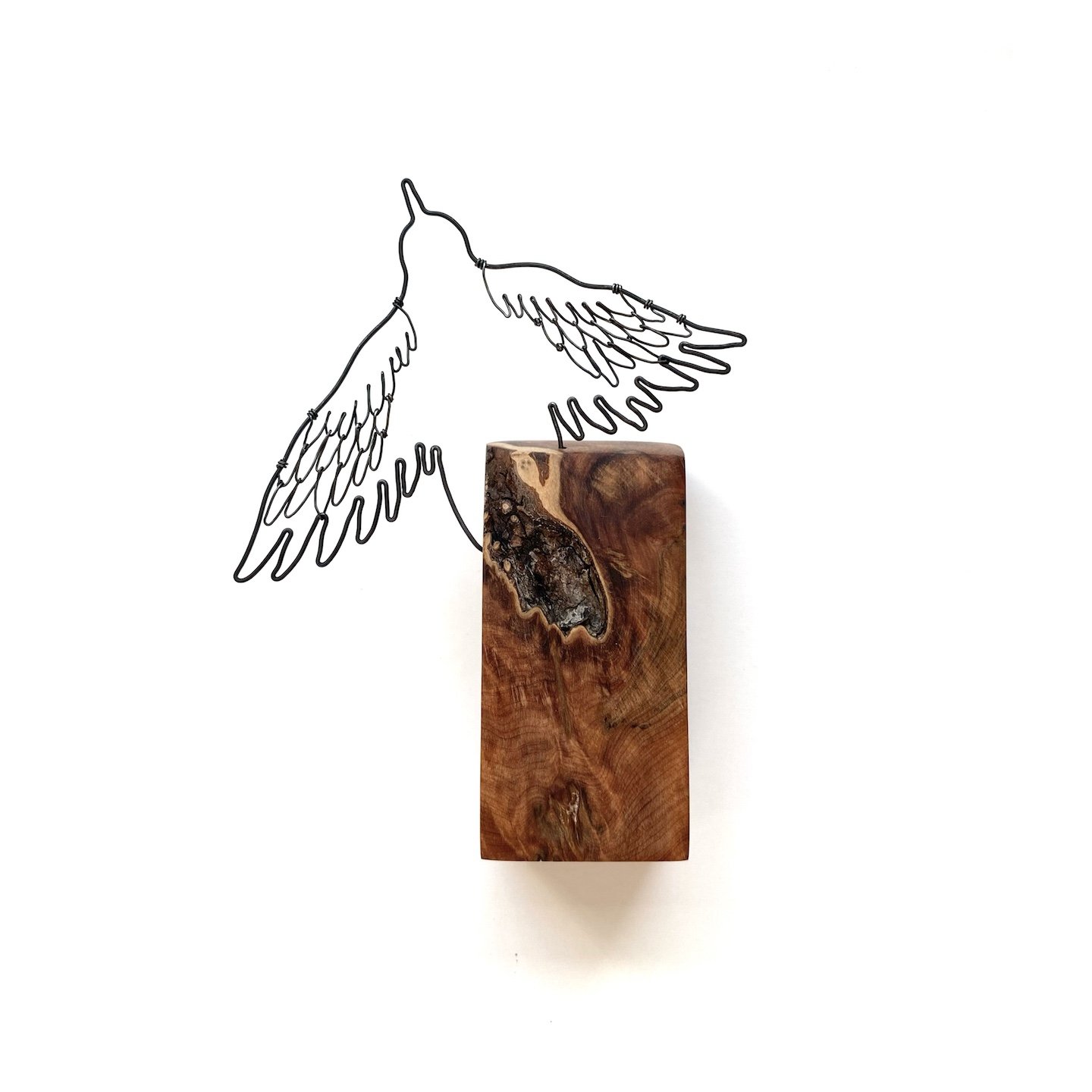 small_bird.jpg