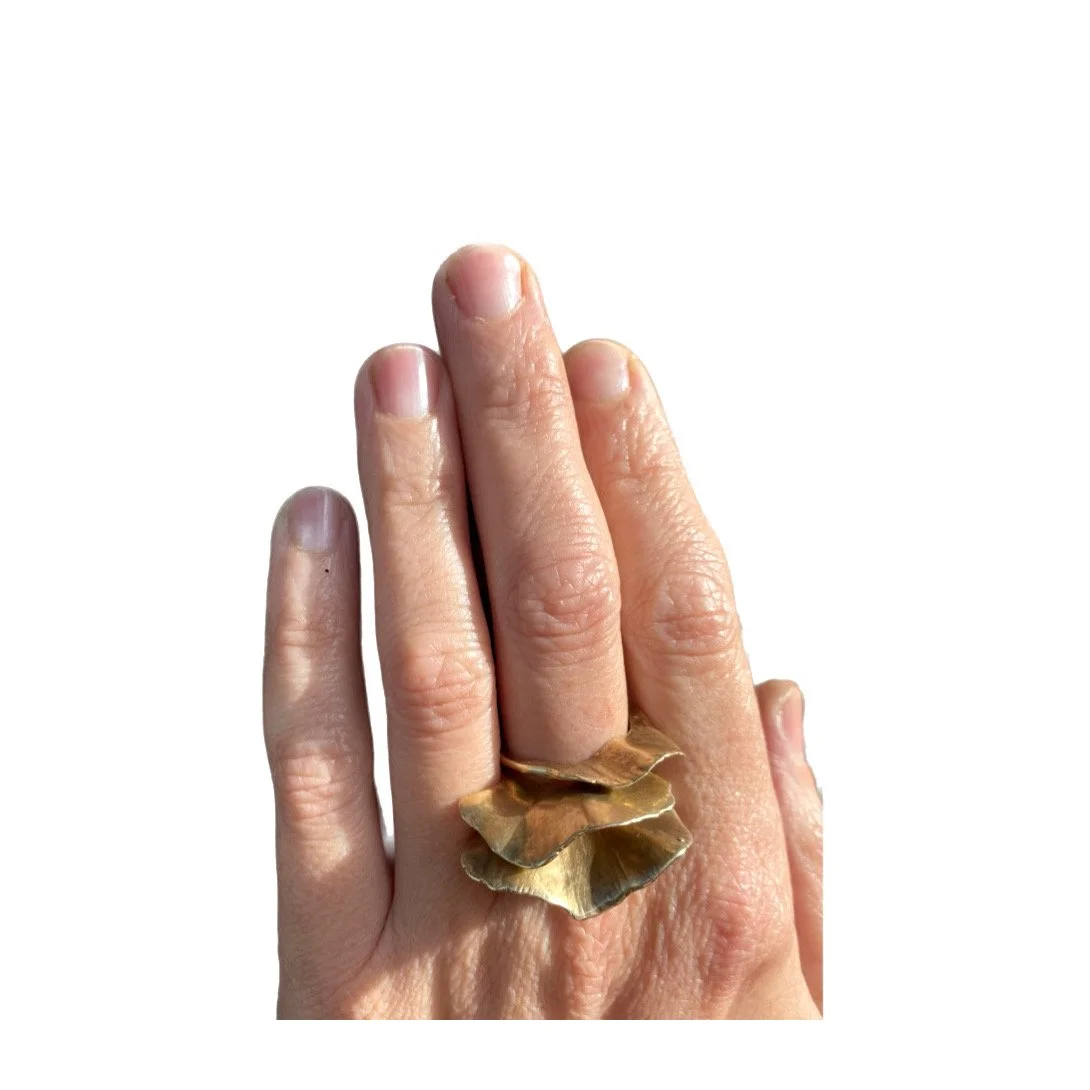 ringweb2.jpg