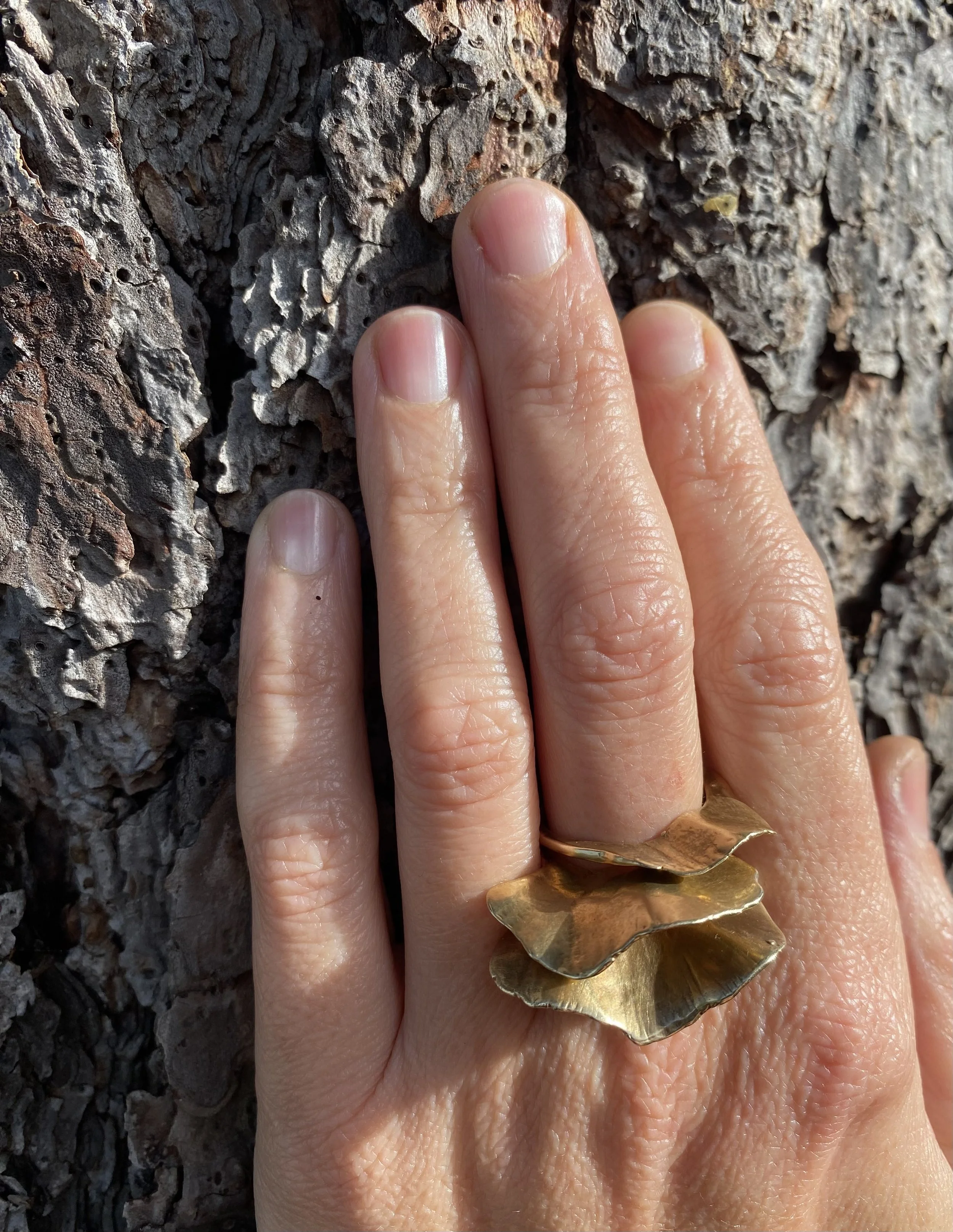 BOET_ring2.jpg