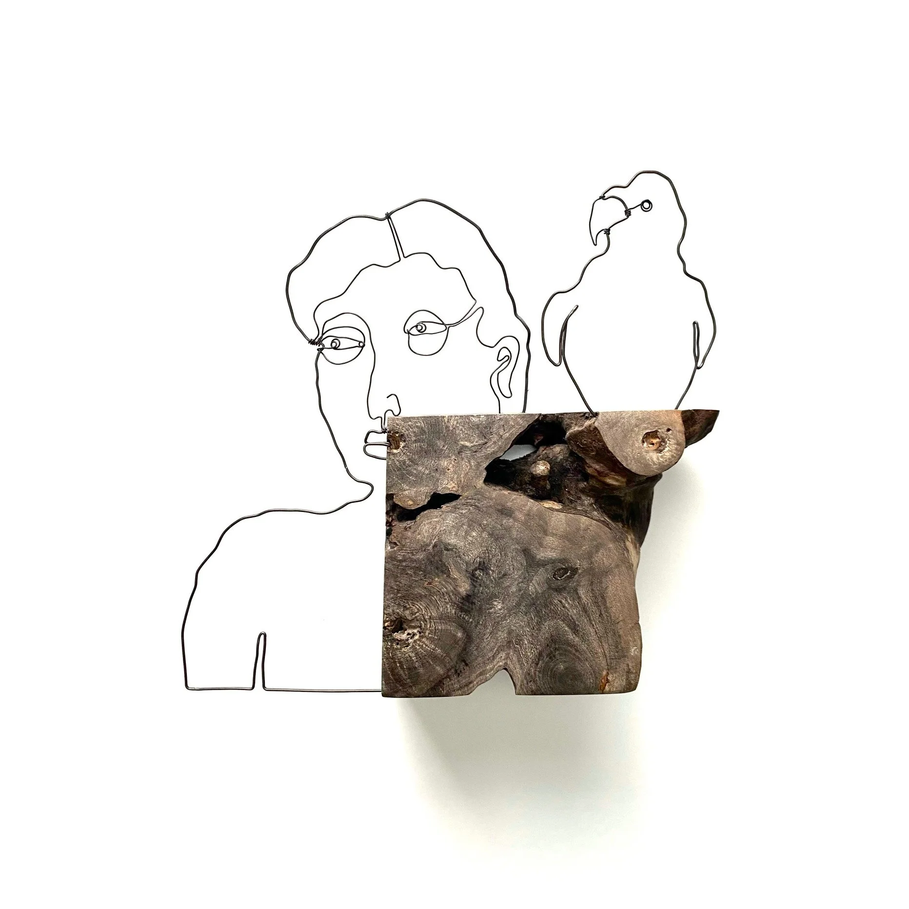 p+p.jpg