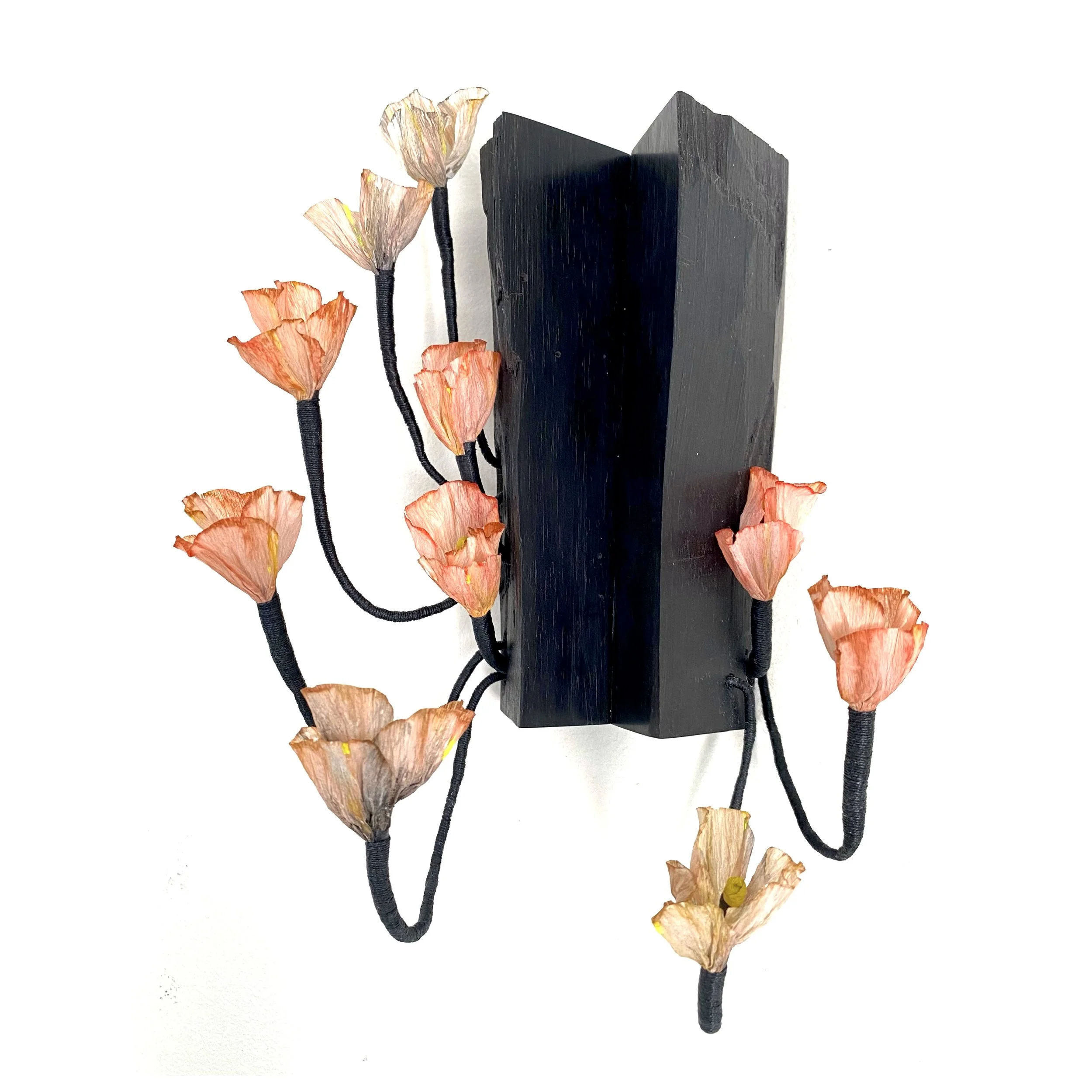 flowering2.jpg