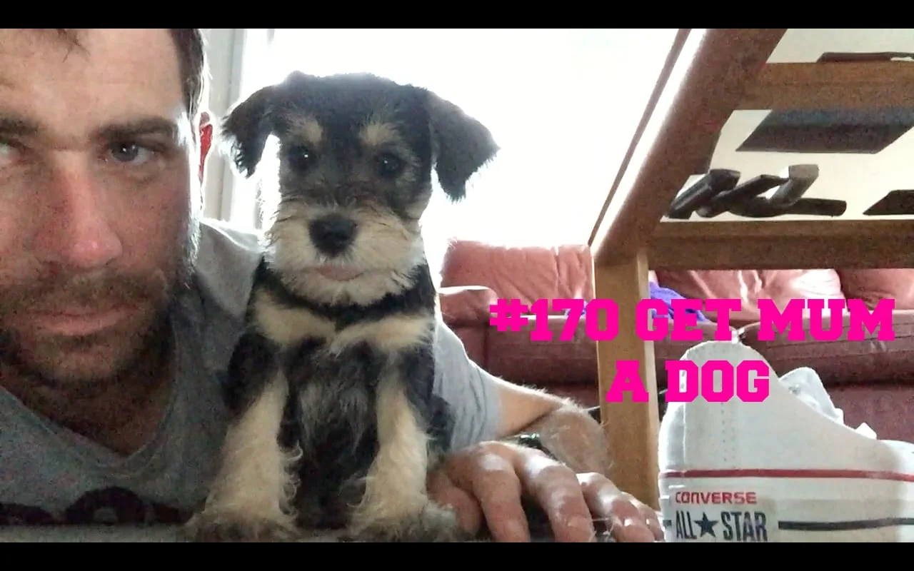 Get Mum a Dog #170