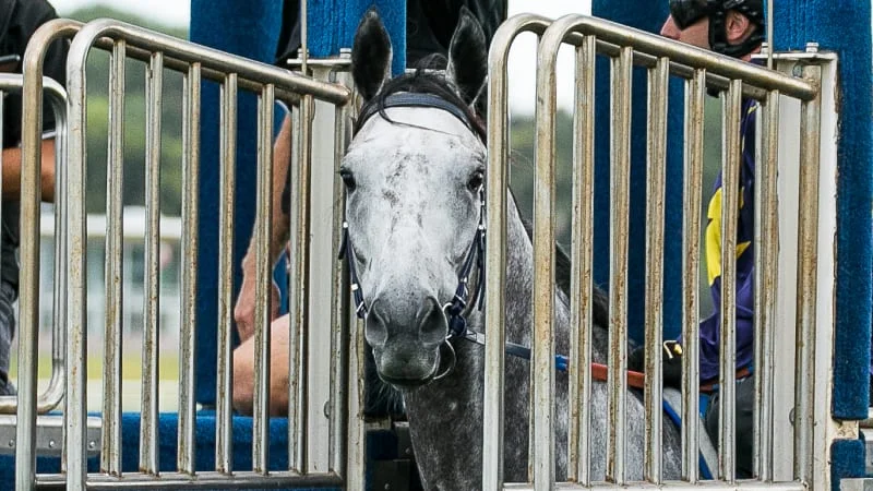 Chautauqua | Standing Tall