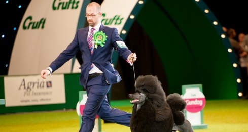 CRUFTS (Channel 4)