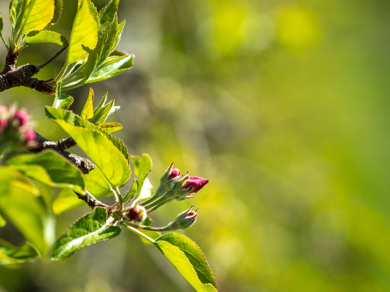 Spring has sprung …