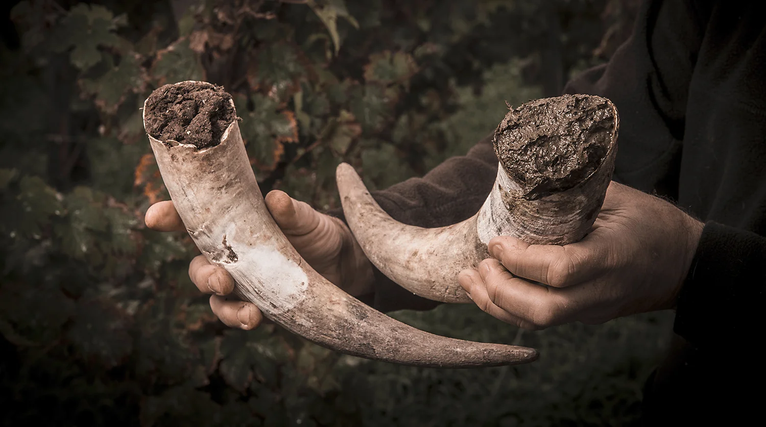 Die mit dem Kuhhorn düngen