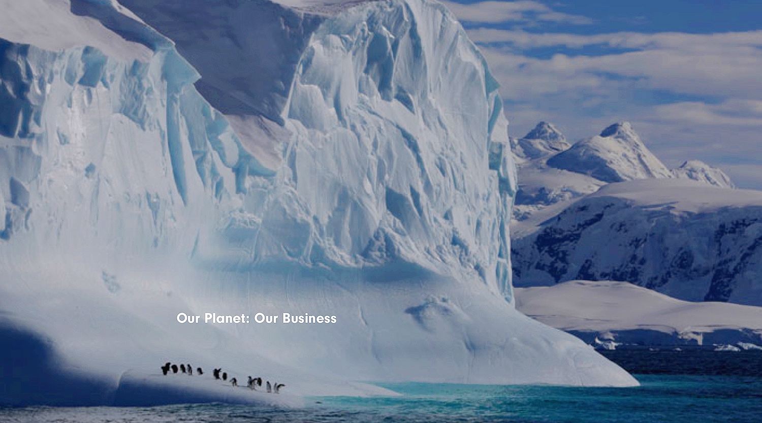 Our planet, our business