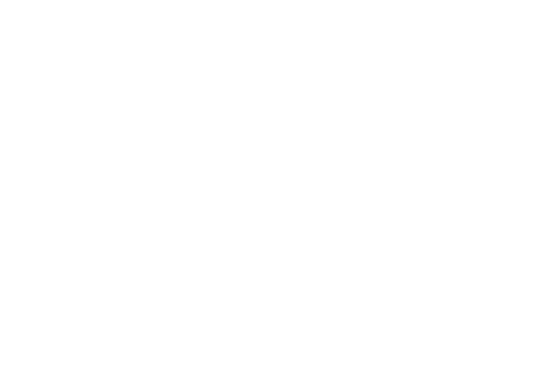 logofolio_prohobitox.png
