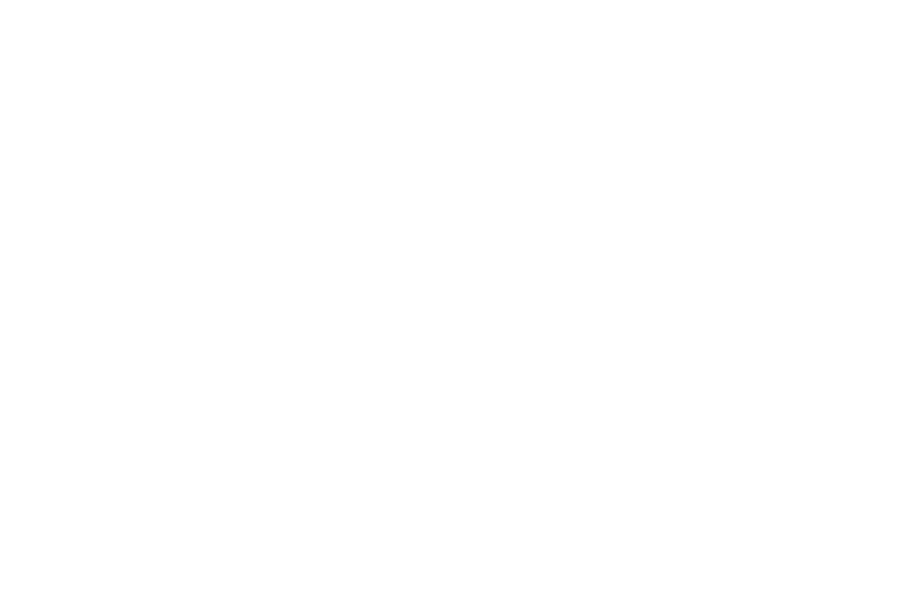 logofolio_feeel.png