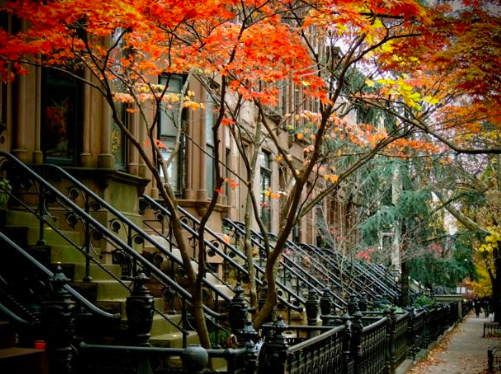 Sense Writing I, II& III – NYC Starts February 16