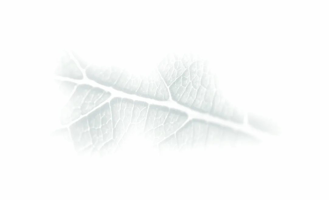 SWleaf-stain.jpg