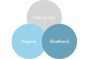 FuelOptions_5f7a086b-1fcc-4cae-a4cc-2accb29c9b1d.jpg