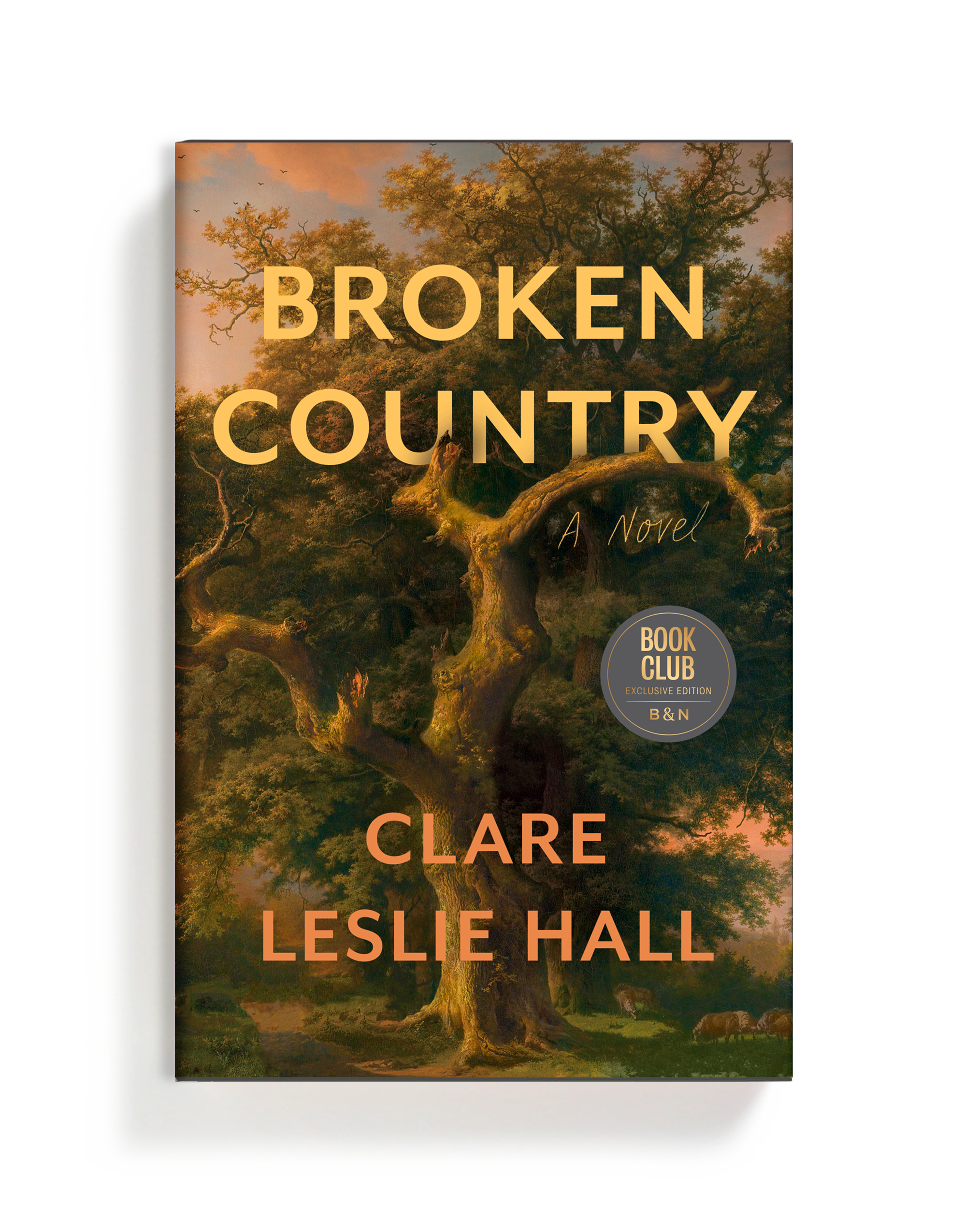 Broken Country by Claire Leslie Hall (Copy)