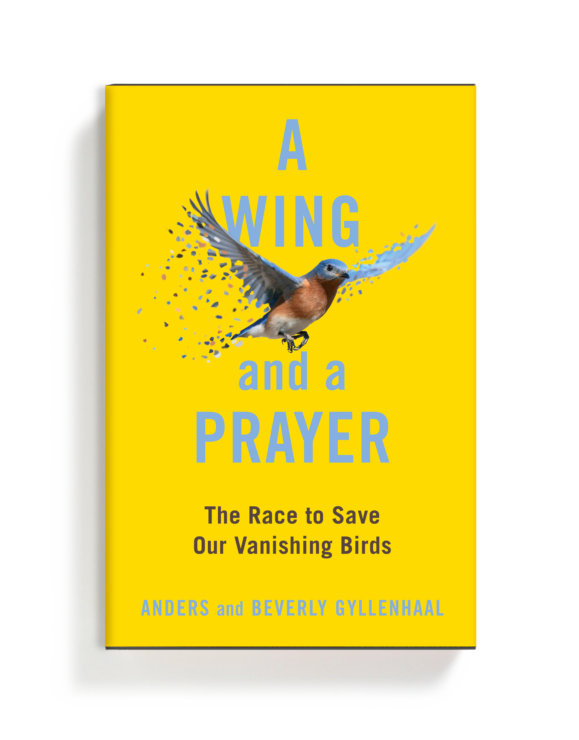 A Wing and a Prayer.png