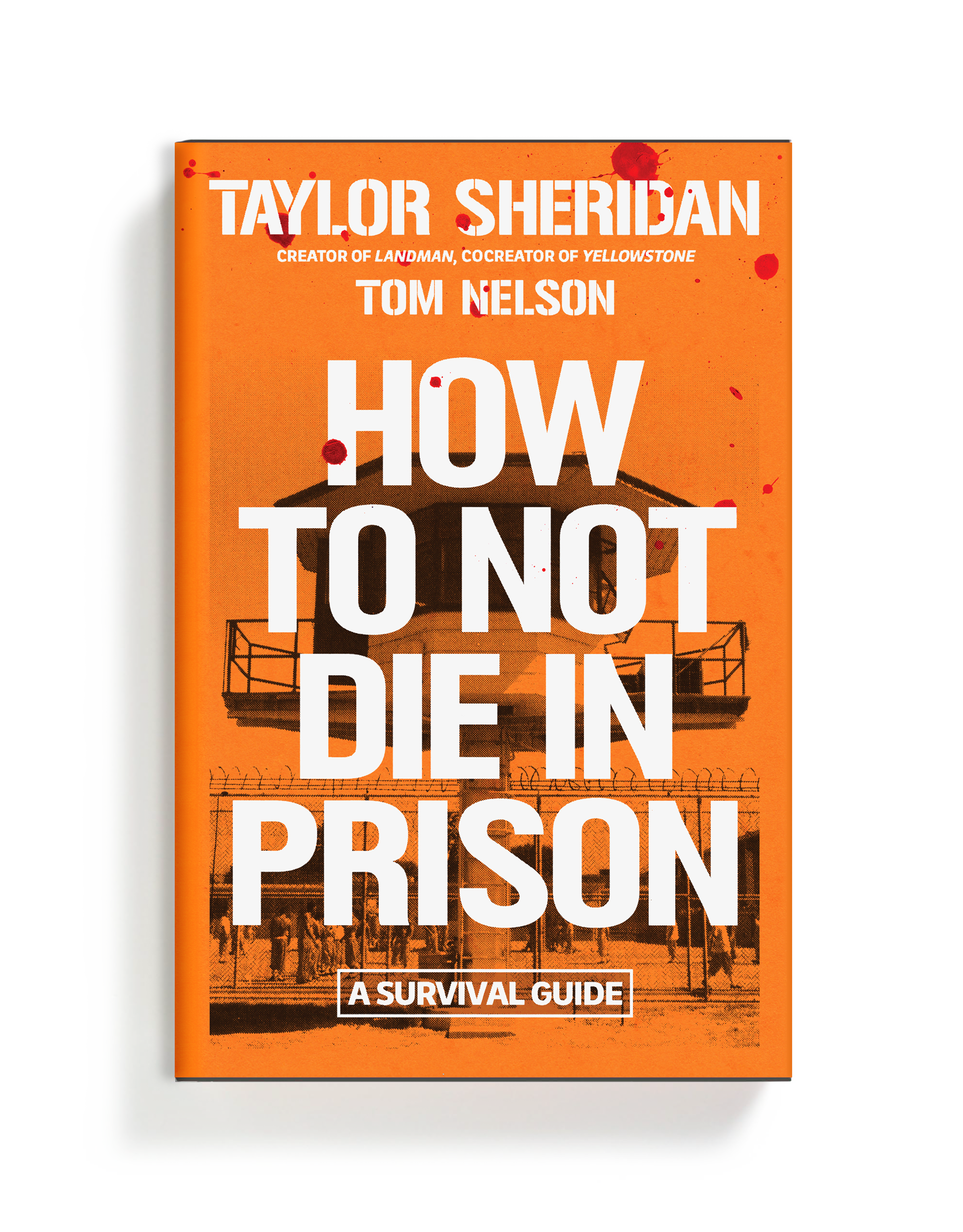 How to Not Die in Prison.png