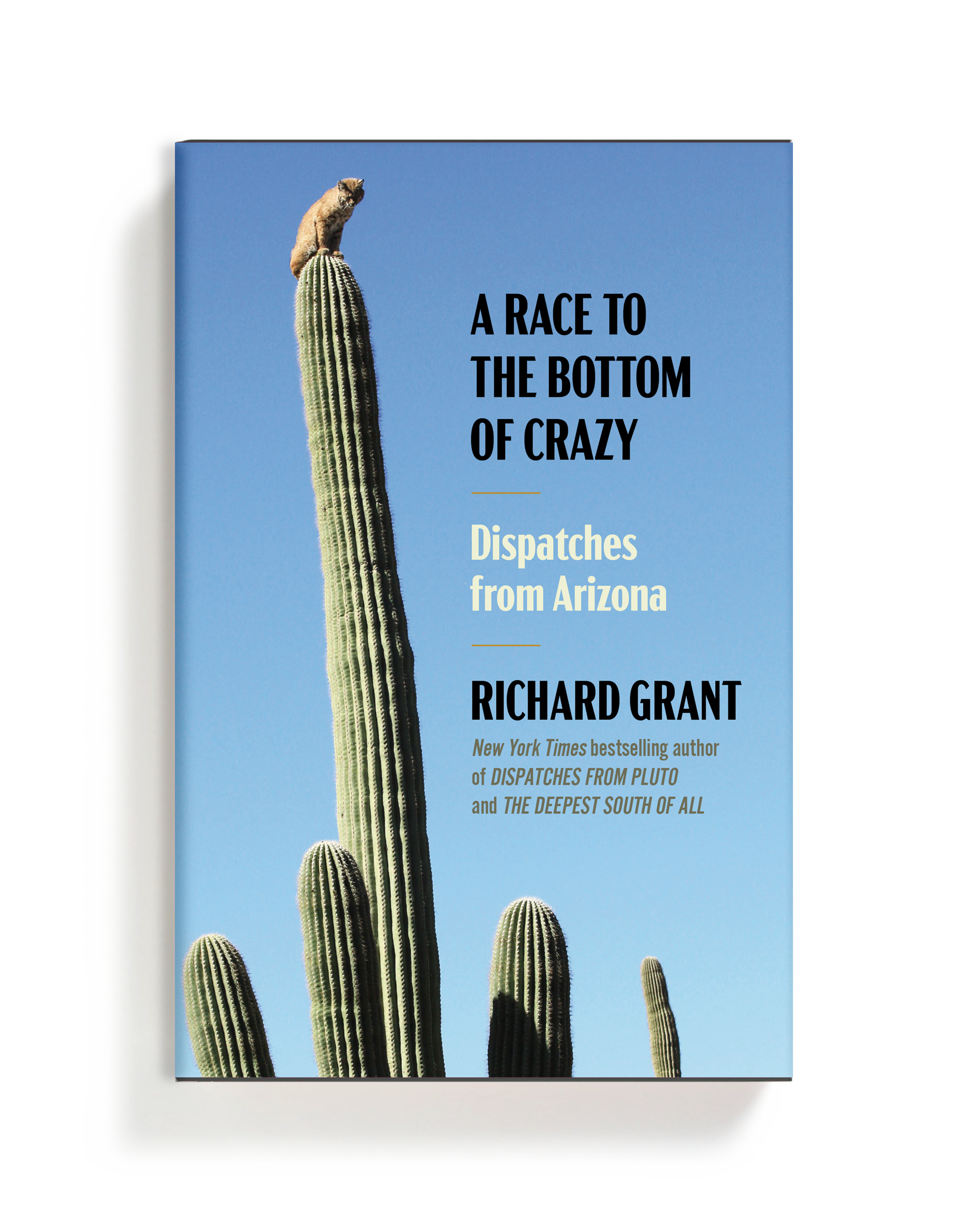 Race to the Bottom of Crazy.png