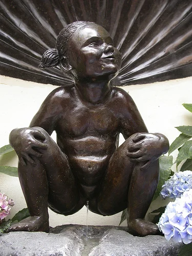 Janneke-Pis
