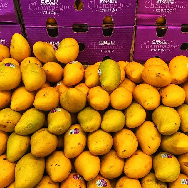 YES! Gimme all the champagne mangos! ‘Tis the season for our mango chili truffles 🥭🍾🌶 - we will have plenty at Crow Vineyards for a delicious sparkling wine pairing April 7, too. #mango #chili #truffles #milkchocolate #darkchocolate #spice #champagne #sparklingwine #crowvineyard #easter #sweetandspicy #spring #dreamingofsummer #champagnemango @crowvineyard #maryland #easternshore