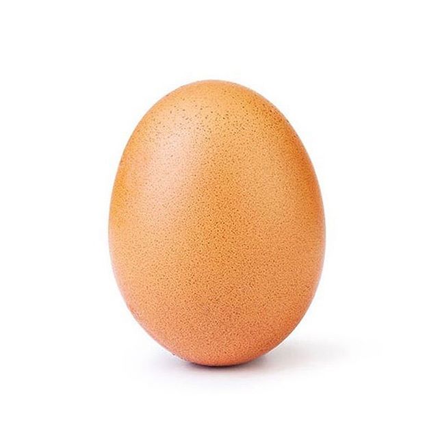 How many likes?? Now picture it filled with coconut cream or peanut butter. That makes much more sense. 🐣They’ll be at Crow Vineyard this weekend https://www.noliachocolates.com/2019-events #egg #coconut #peanutbutter #moyum #easter #eastereggs