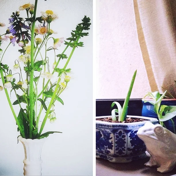 Thrift Tip: Give Flowers a Home