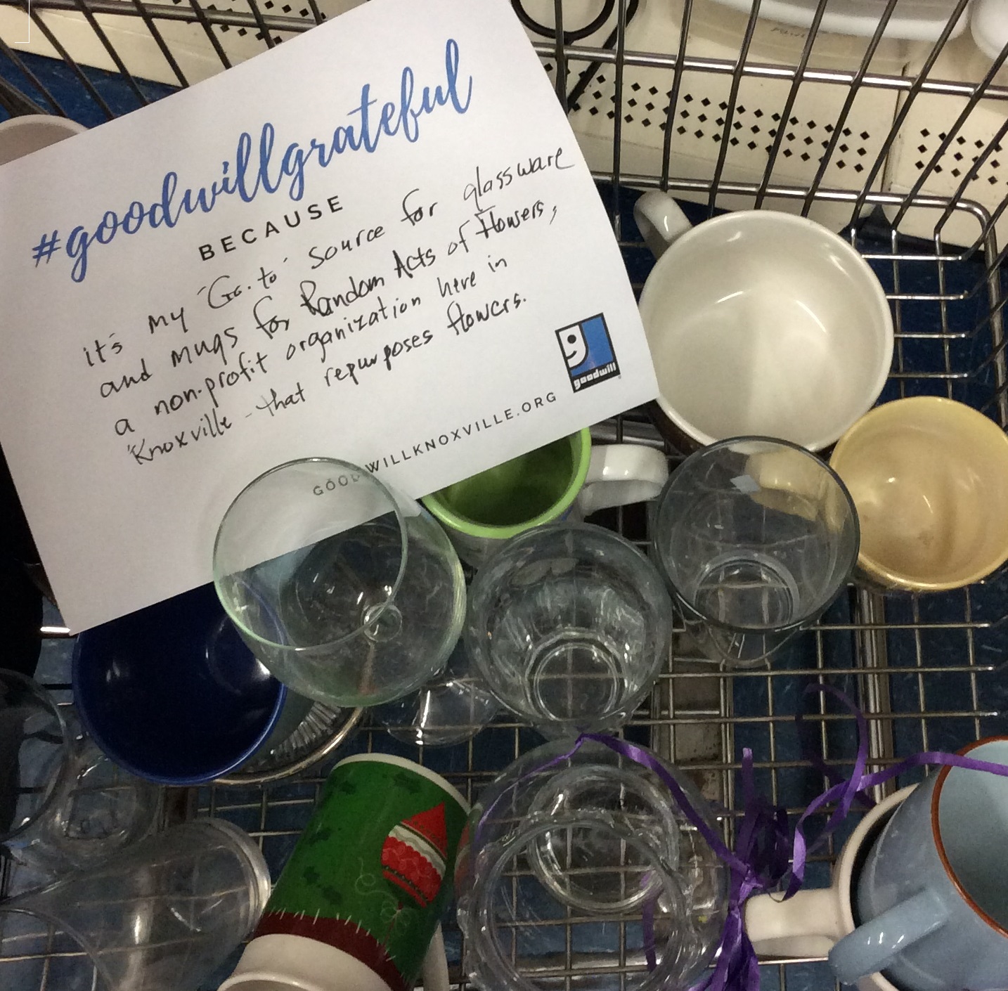POSTED Shopper - Fran Scheidt @randomactsofflowers - nov 9_cropped.jpg