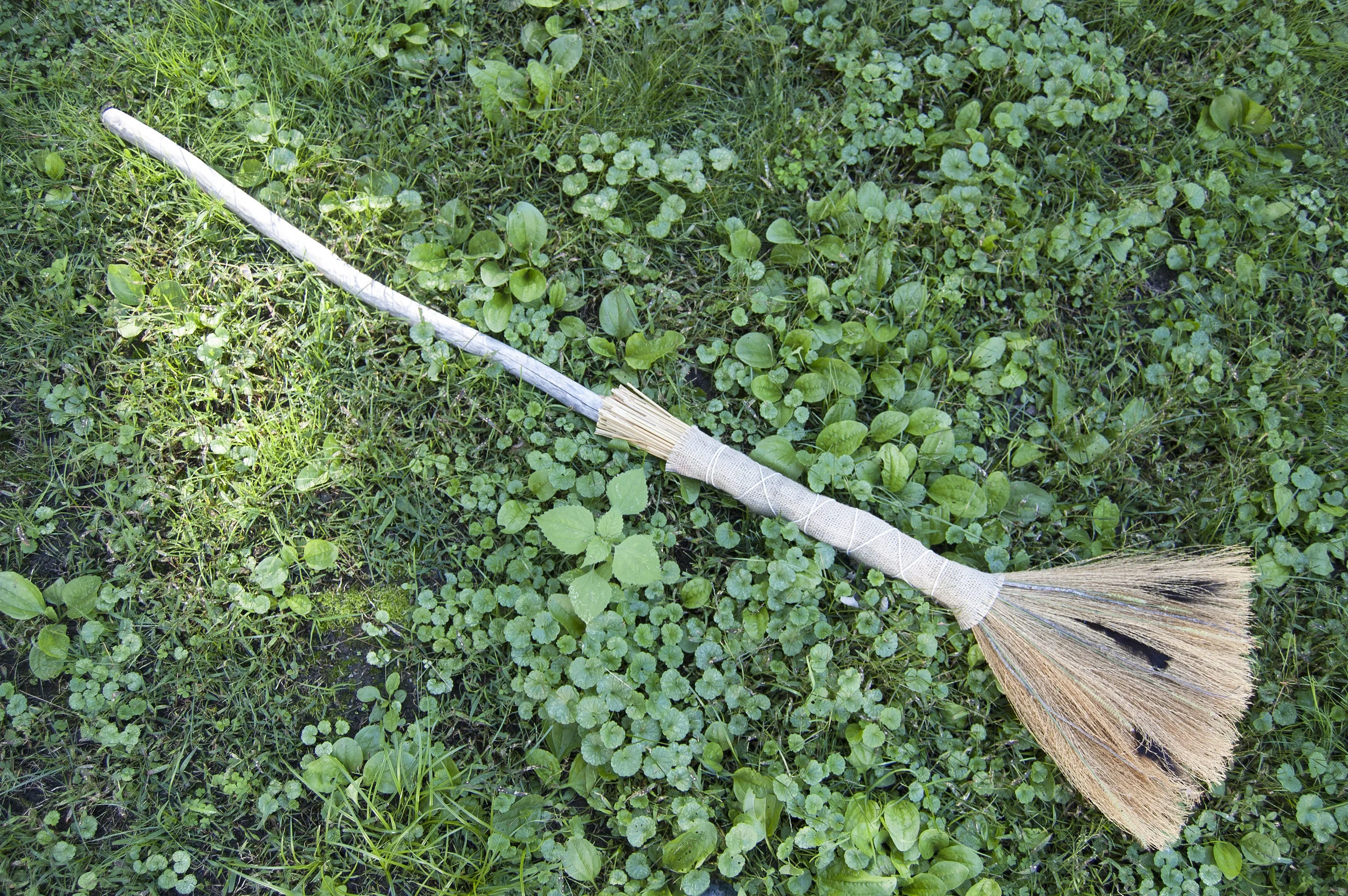 Photo8.jpg