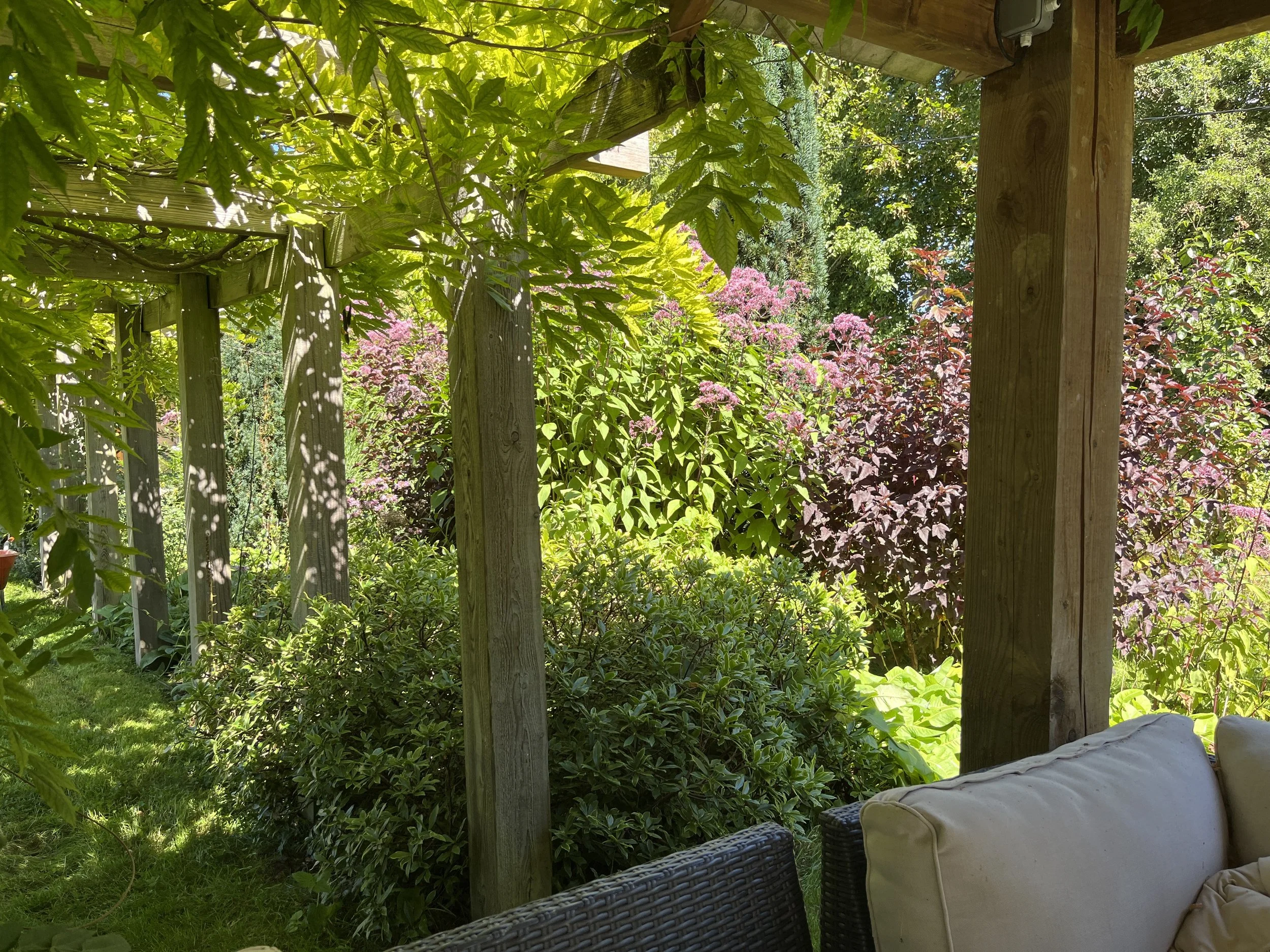 garden pergola walkway.jpeg