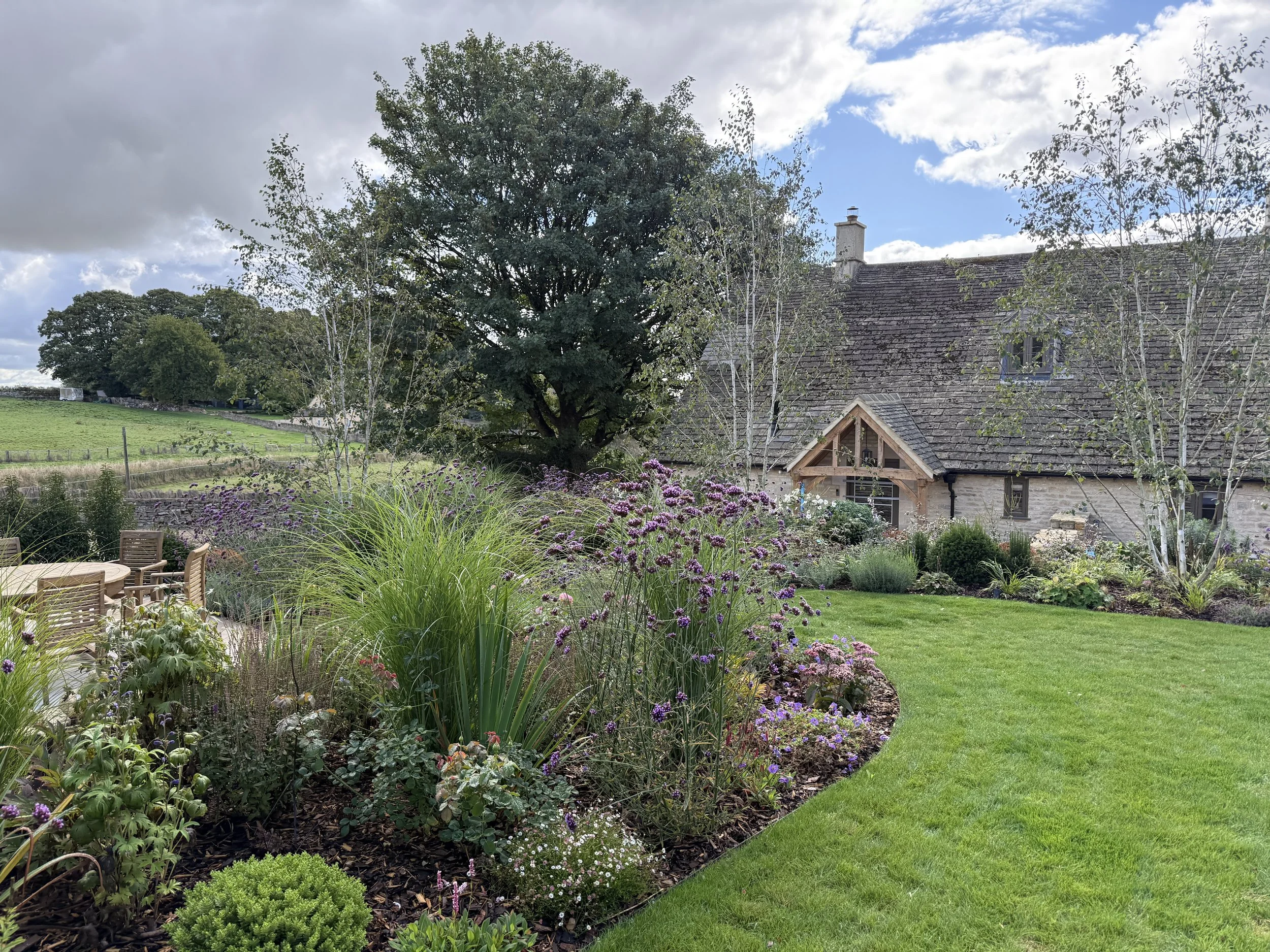 The connection between the annex and the main house with Silver birches