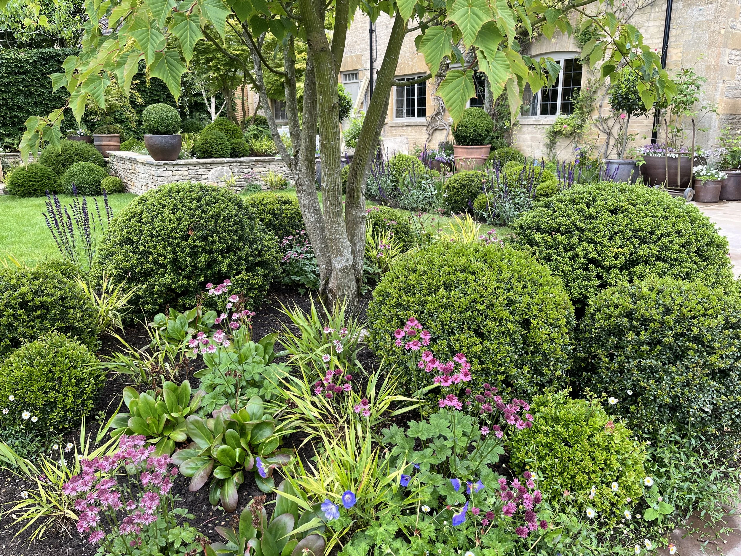 A well-maintained garden with several trimmed bushes, purple and pink flowering plants, and a small tree with large green leaves. In the background, there is a stone building with windows and potted plants.