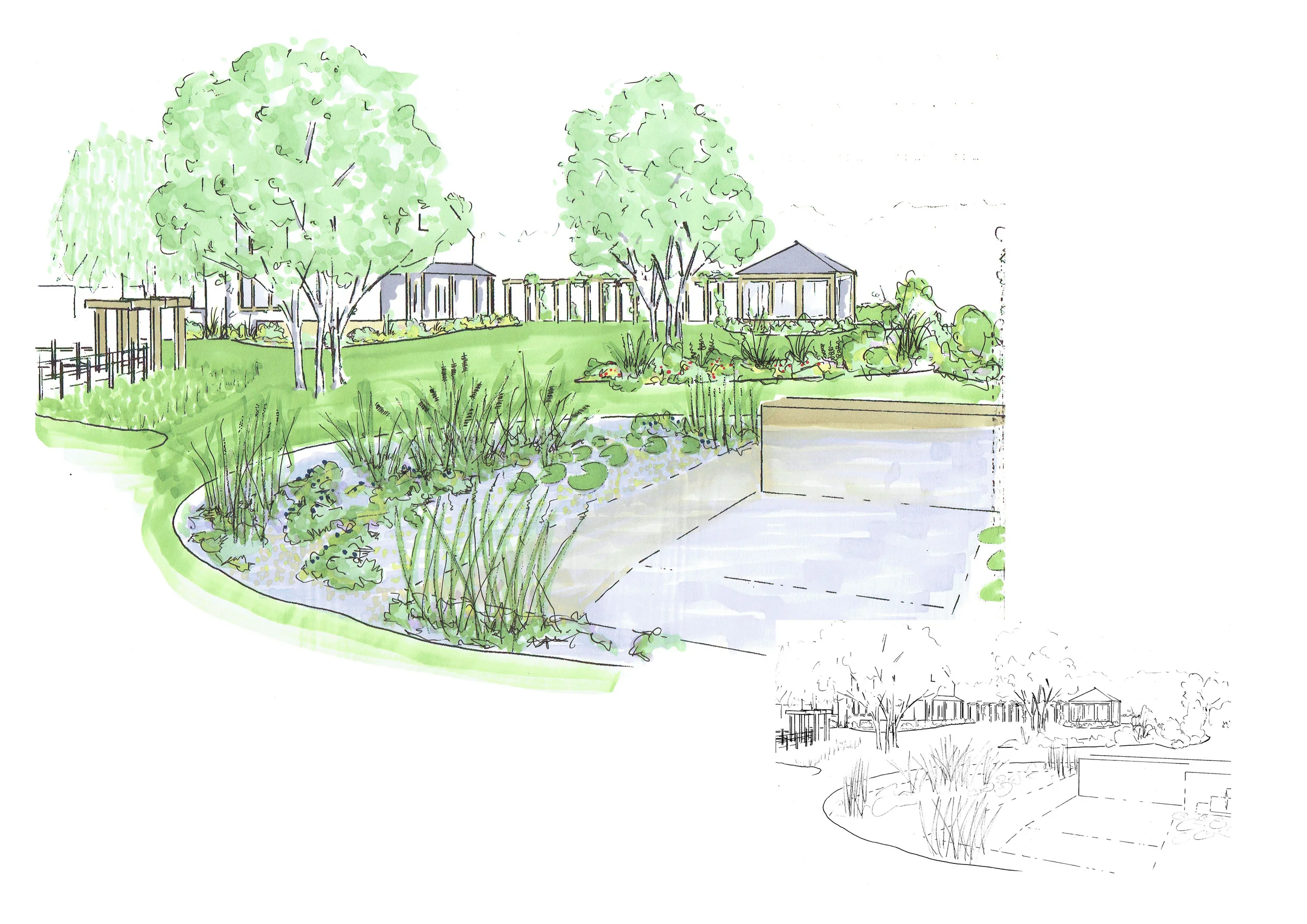 A view from the pond