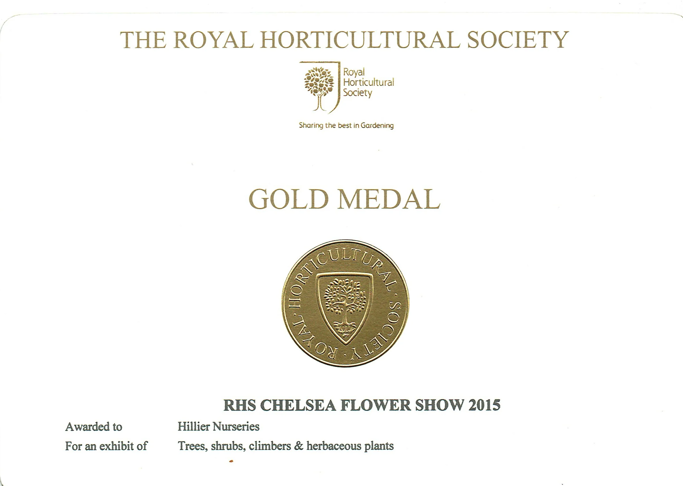 RHS Chelsea Gold medal from the 2015 show, for an exhibit at the show with which Ben helped.