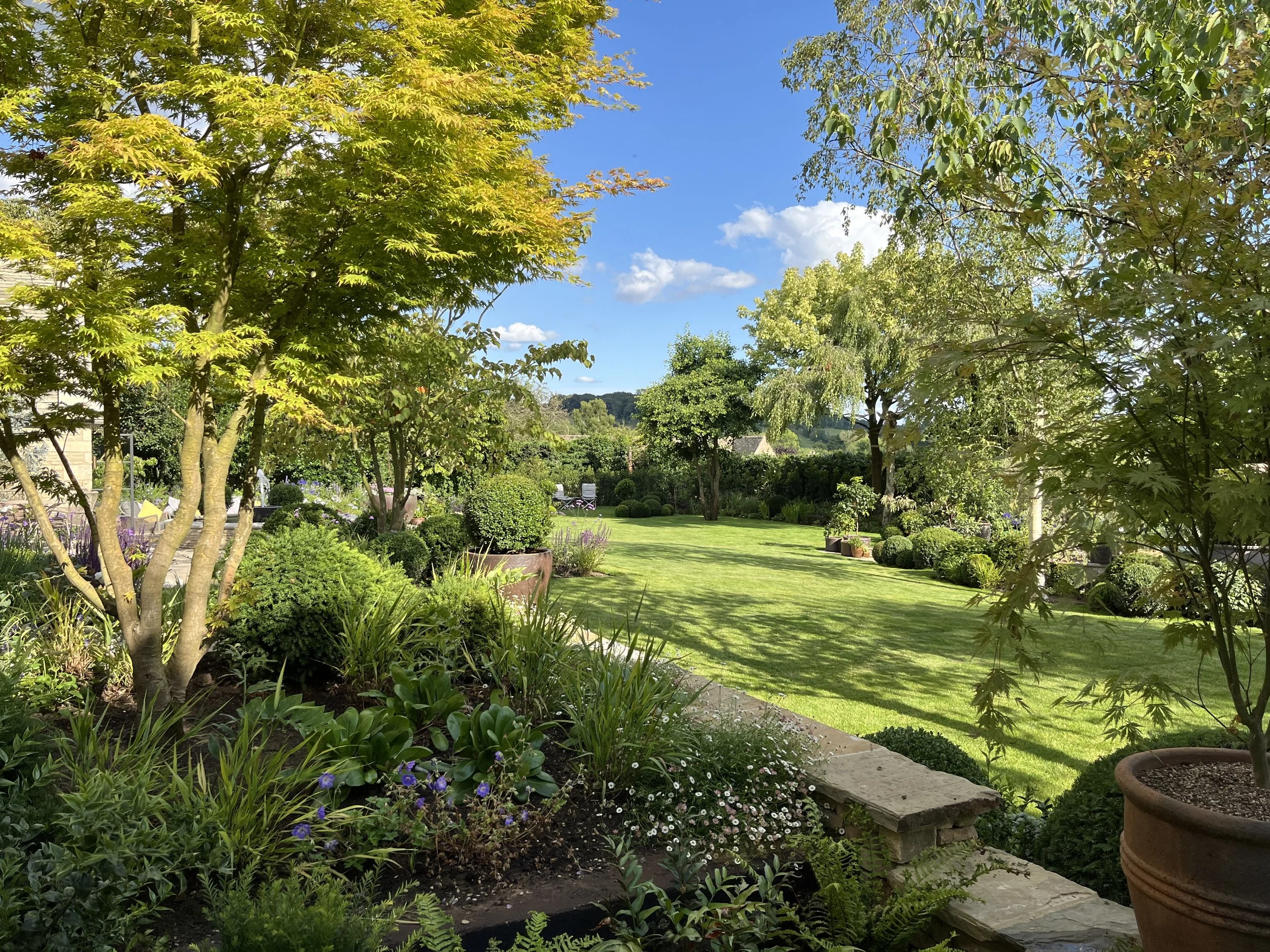 Creating views across the garden.jpeg