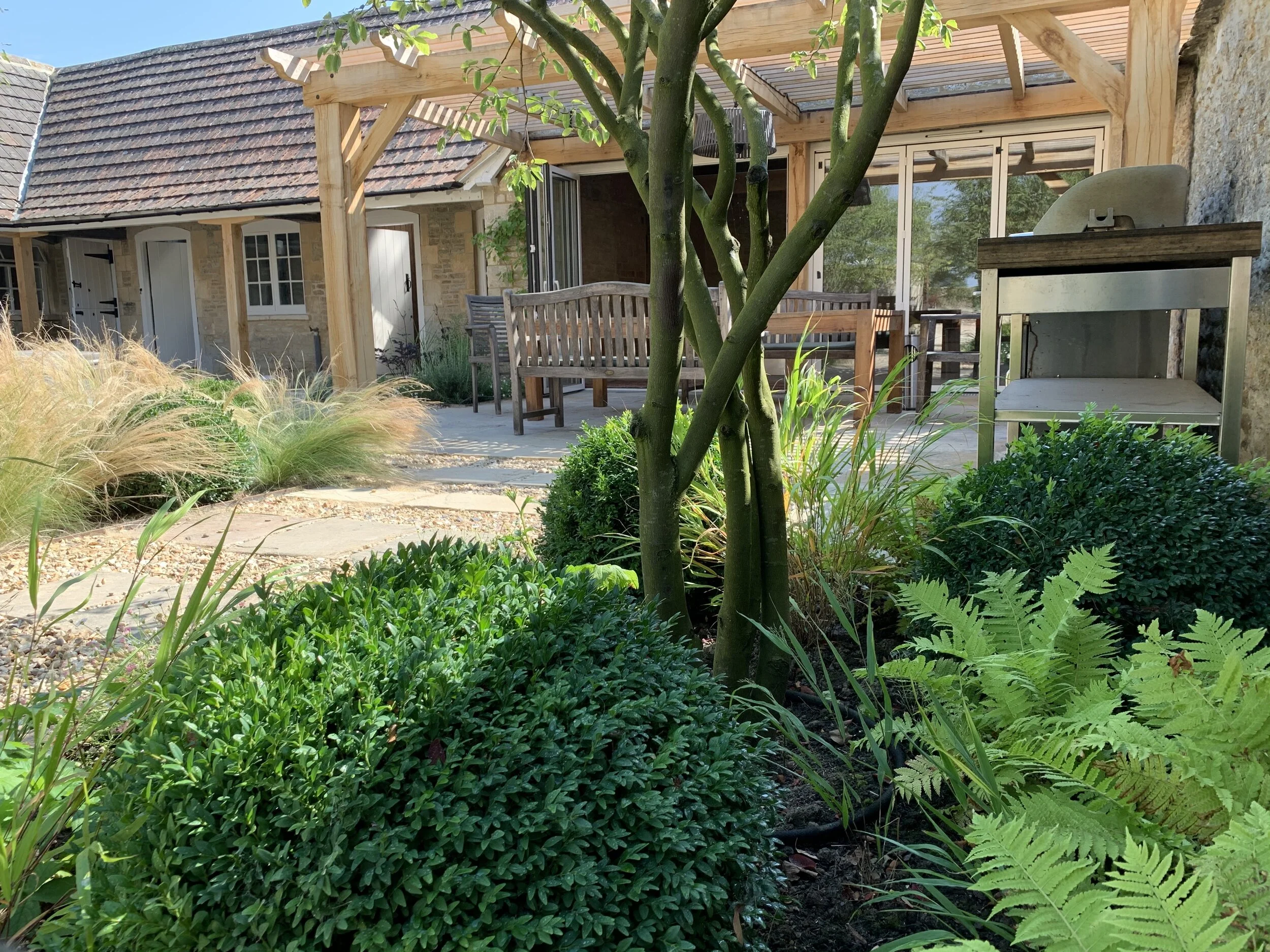 multi stem trunk structure.jpeg