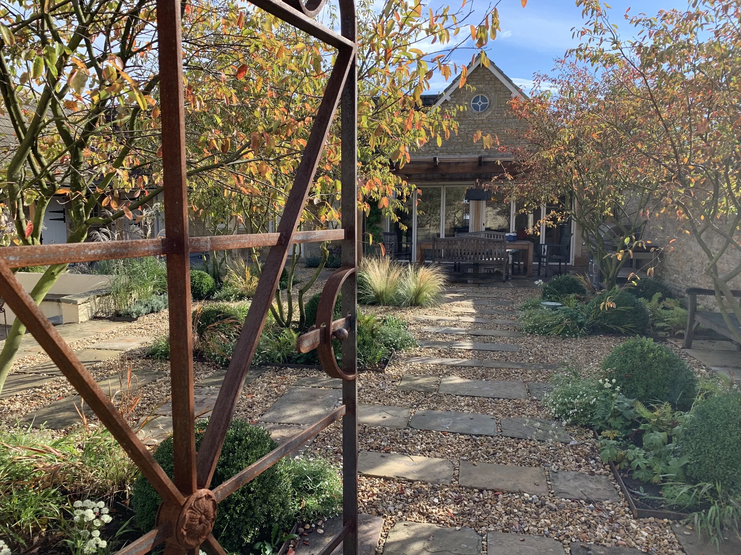 garden gate and amelanchier -courtyard garden.jpeg