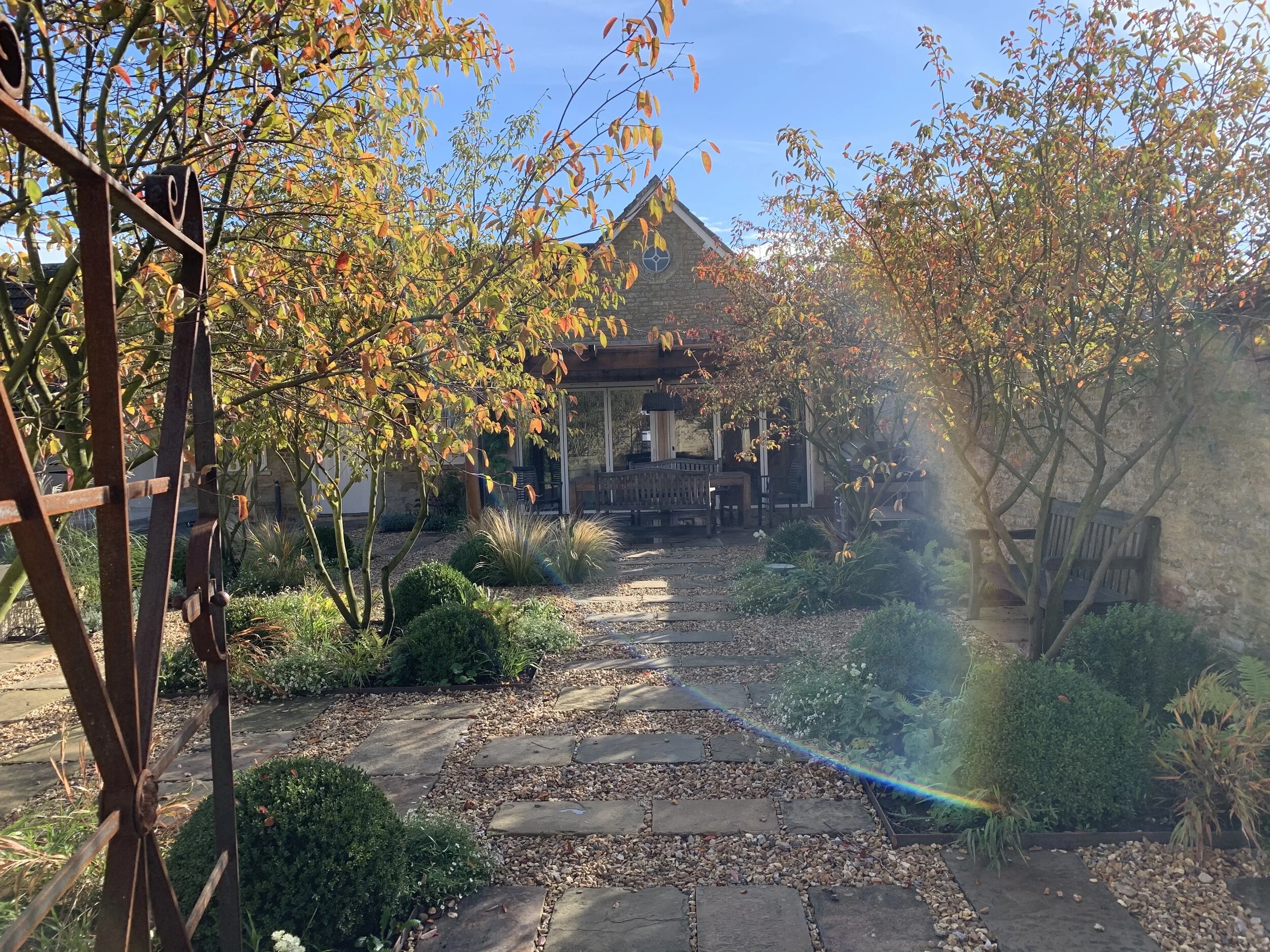 courtyard garden in autumn.jpeg
